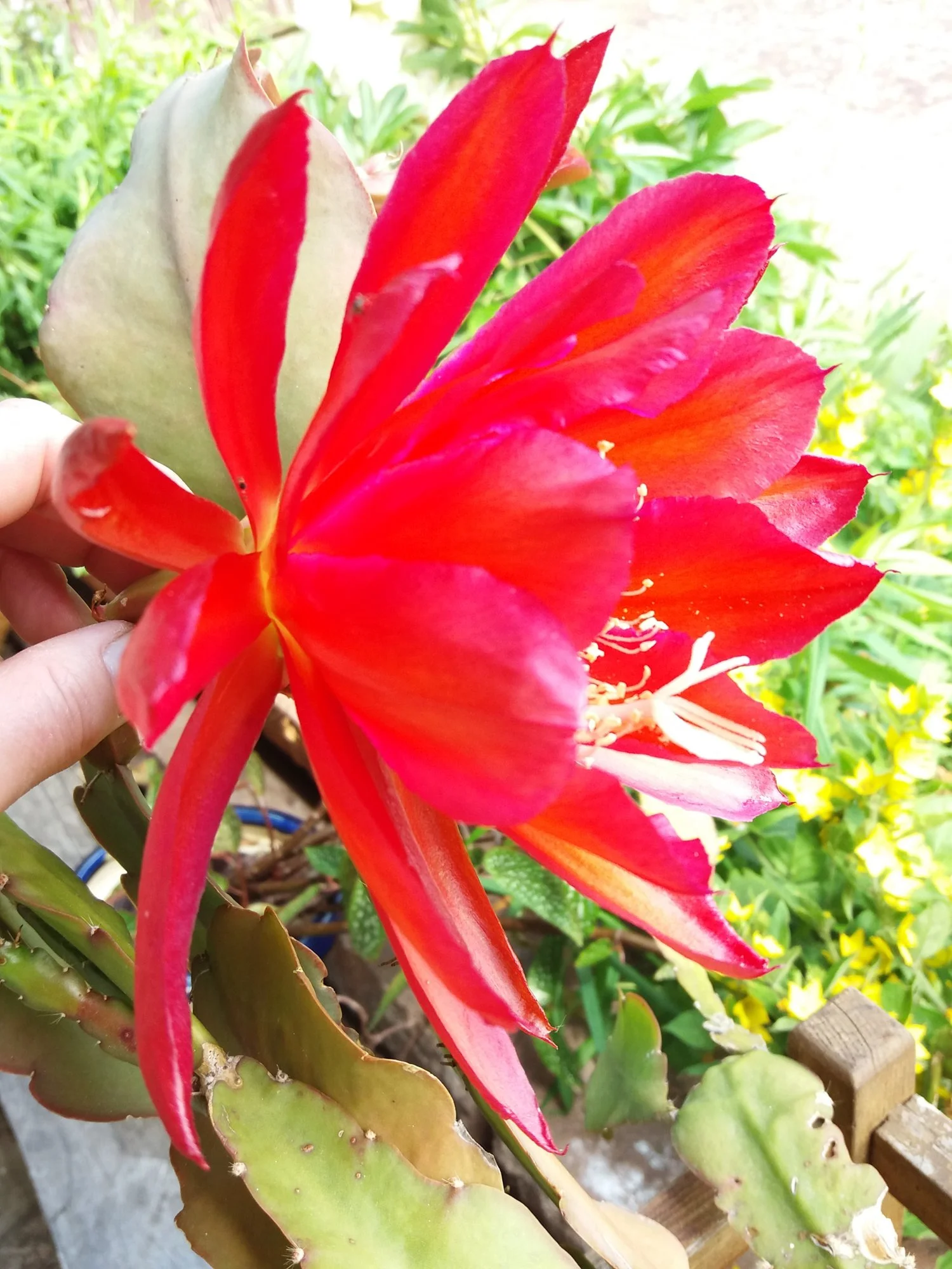 20190620_134740.webp