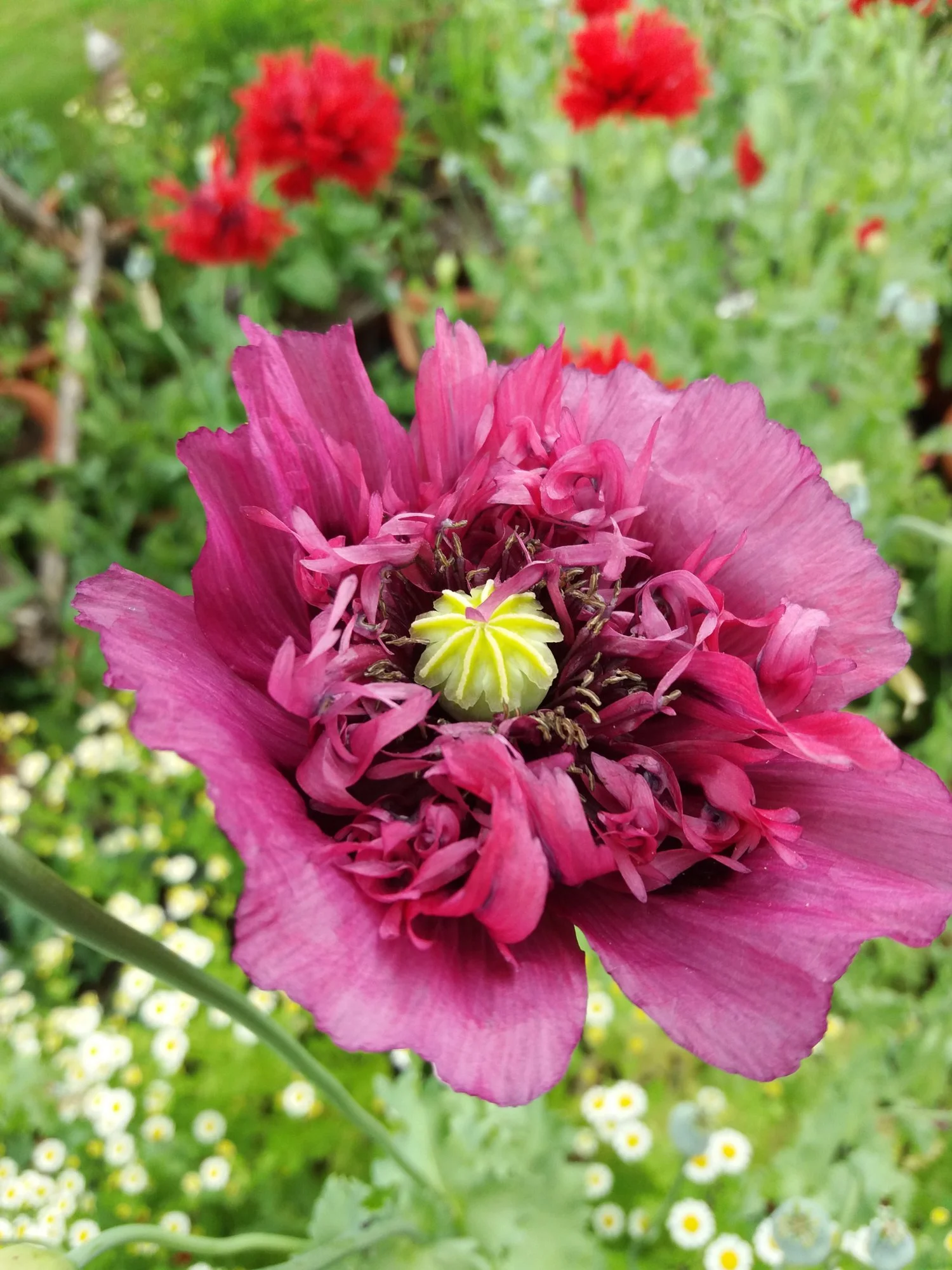 20190620_140837.webp