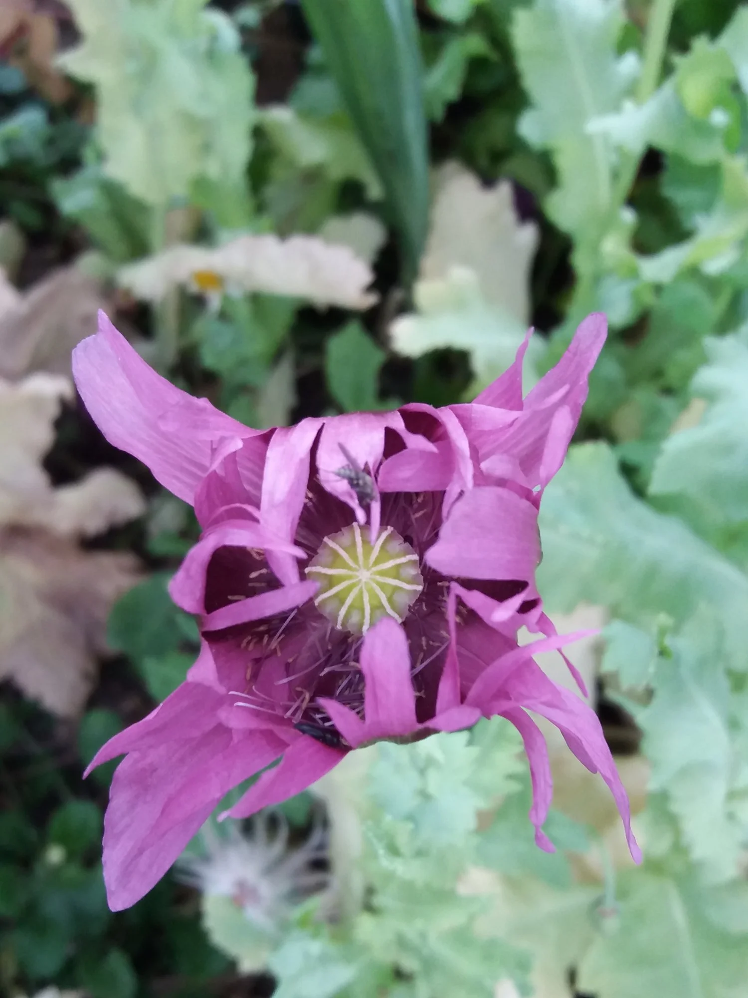 20190620_140936.webp