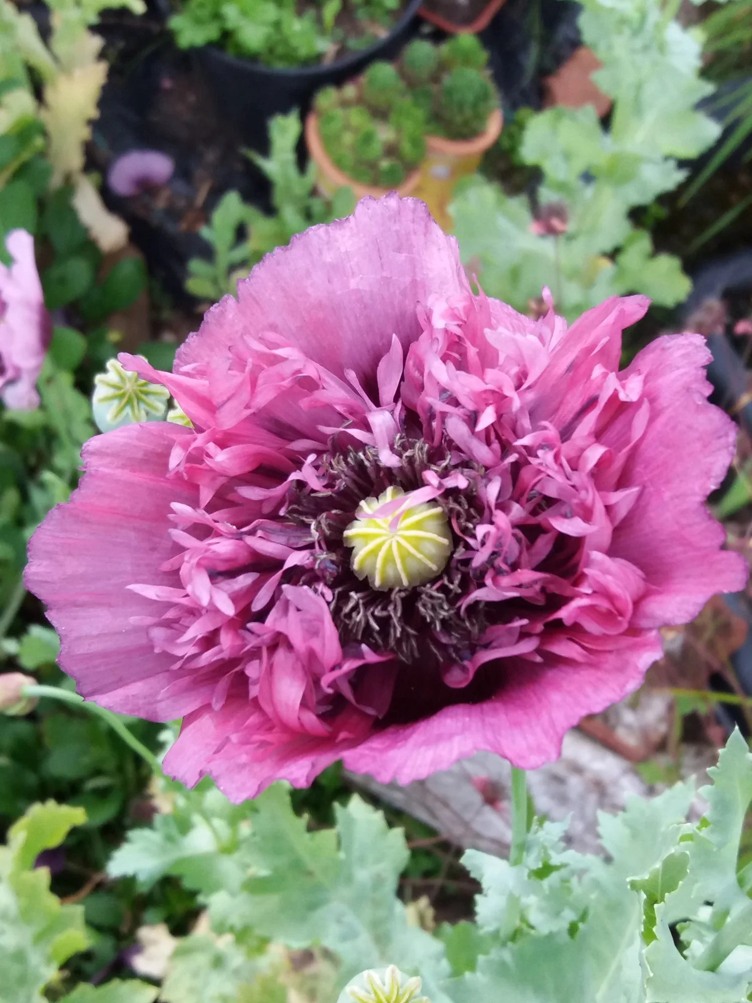 20190620_140945.webp