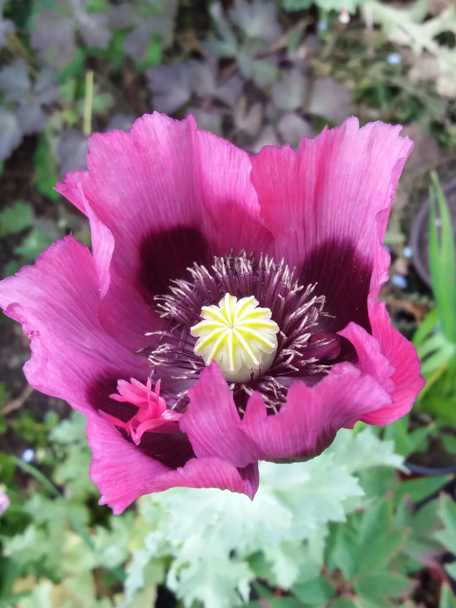 20190620_141003.webp