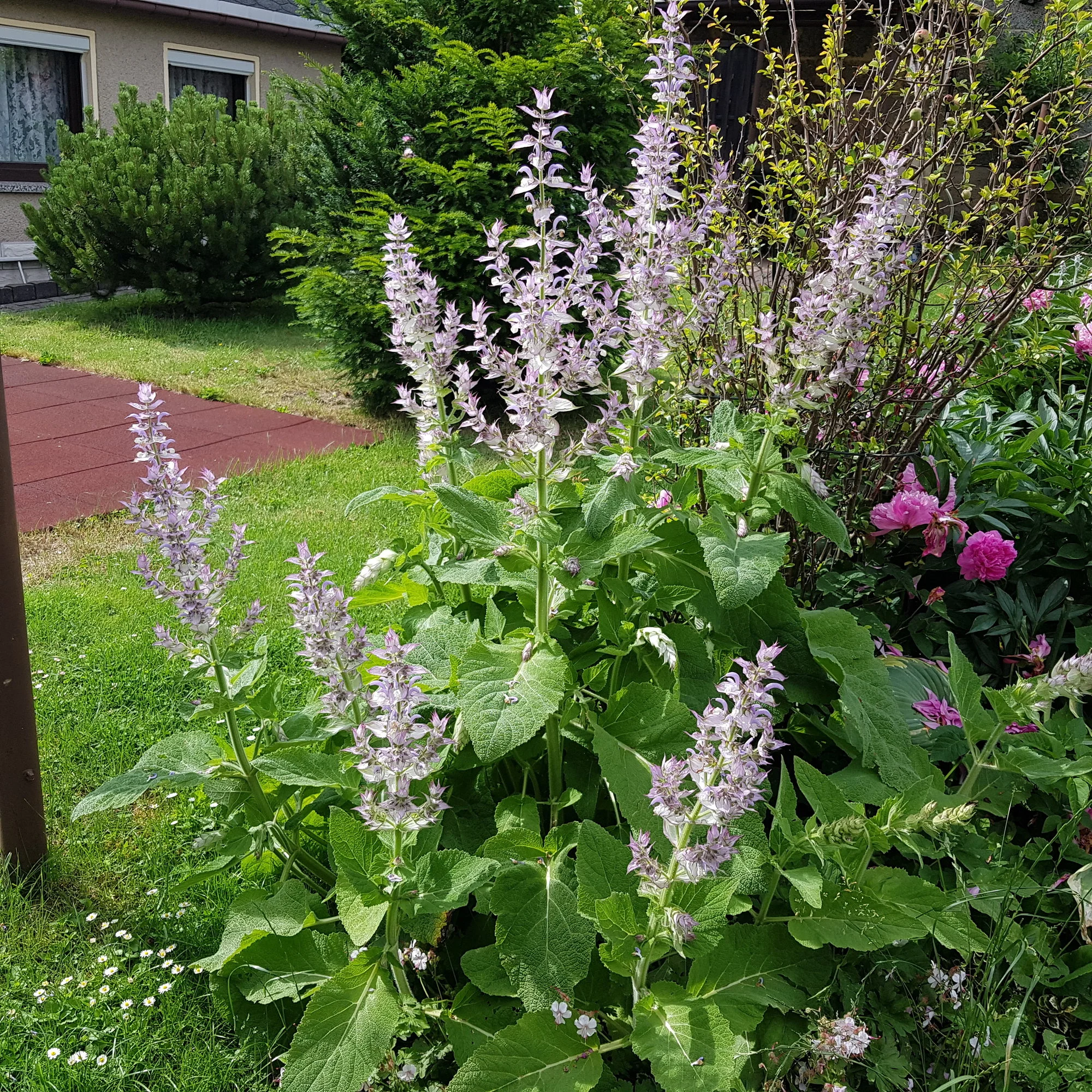 20190620_162733.webp