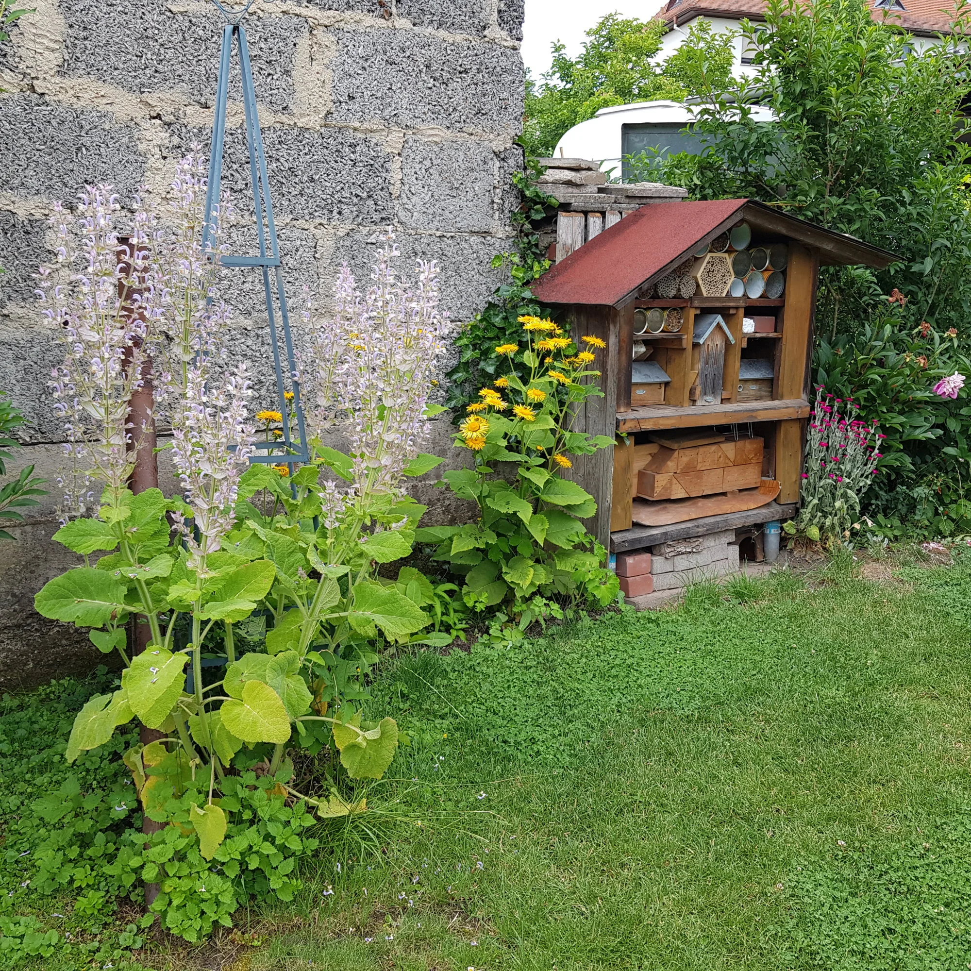 20190620_162841.webp
