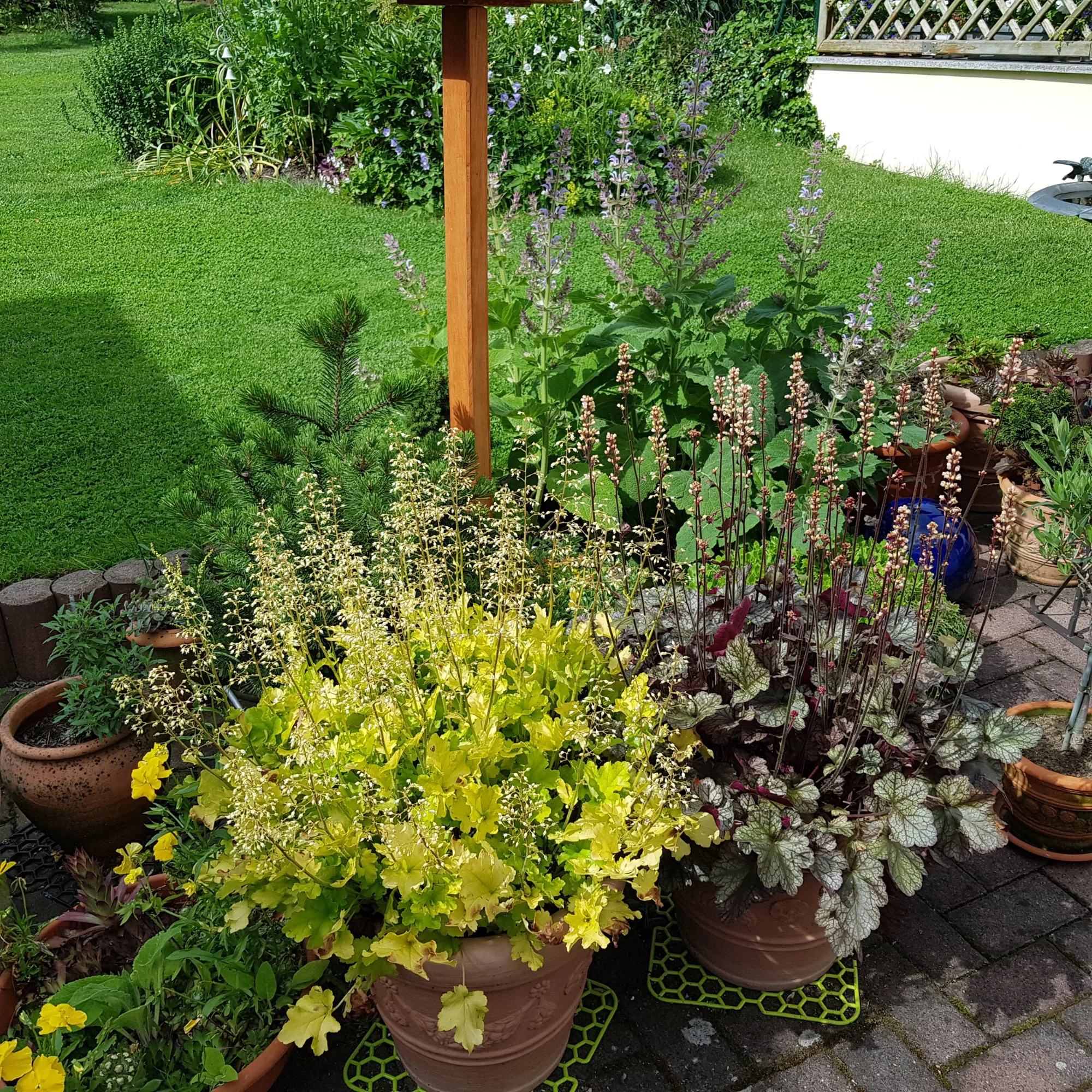20190620_163417.webp