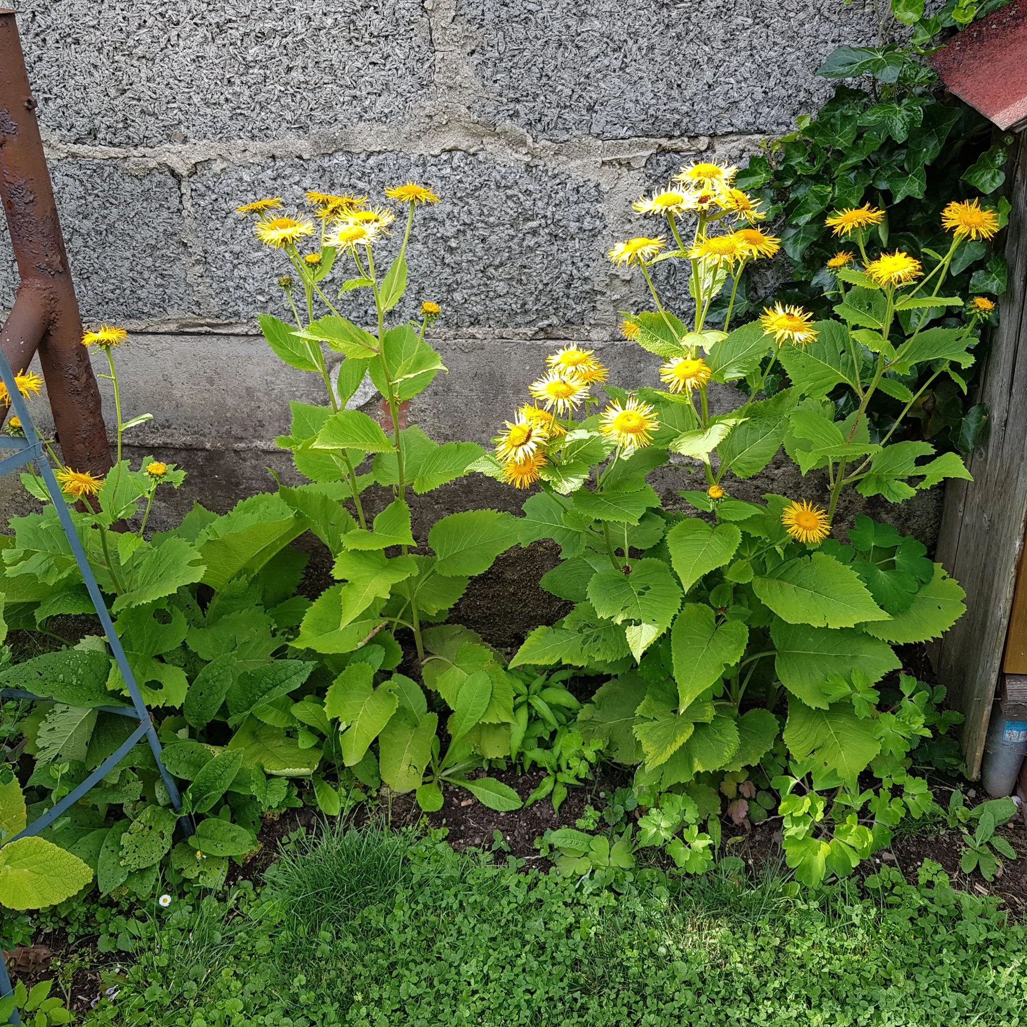 20190620_163755.webp