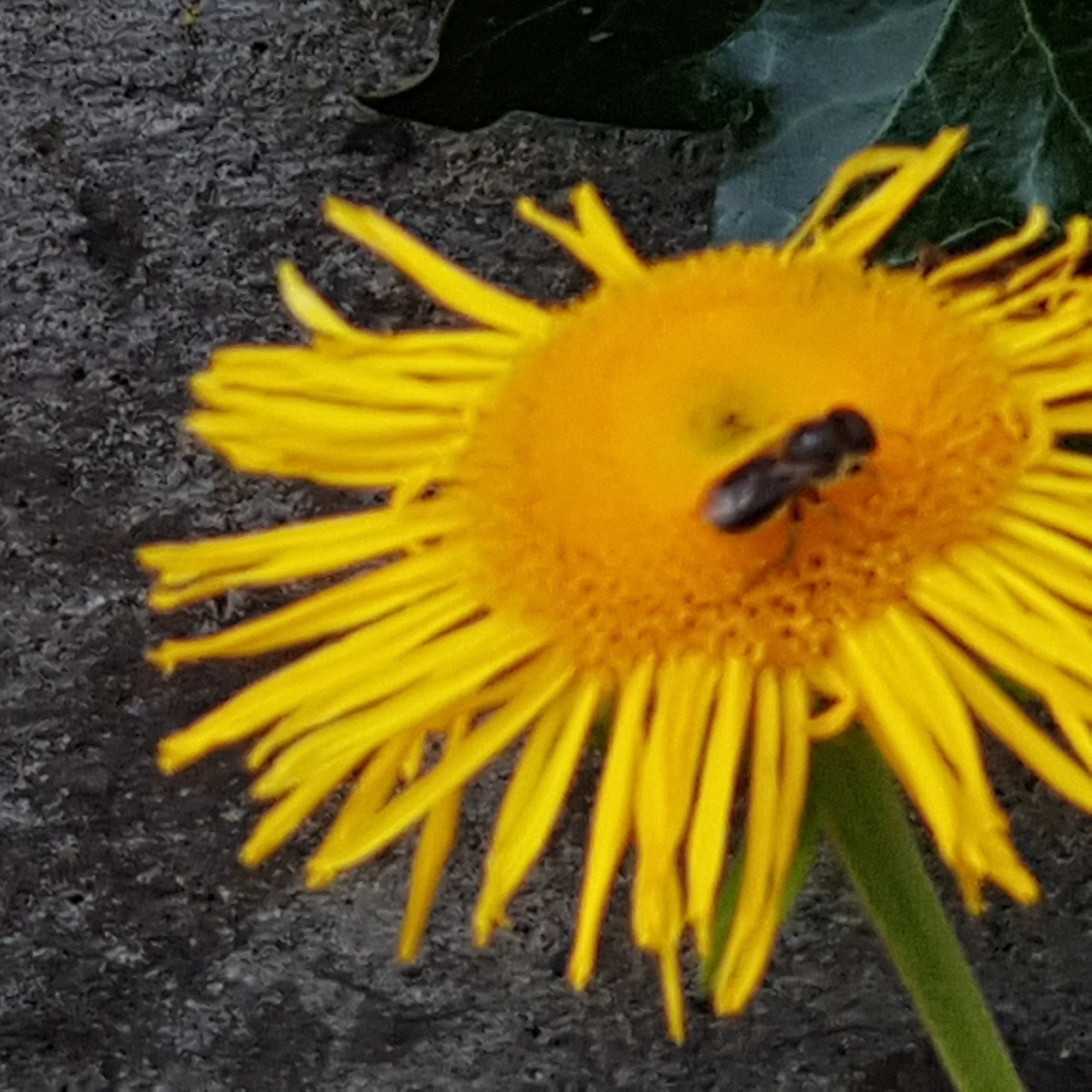 20190620_163834.webp
