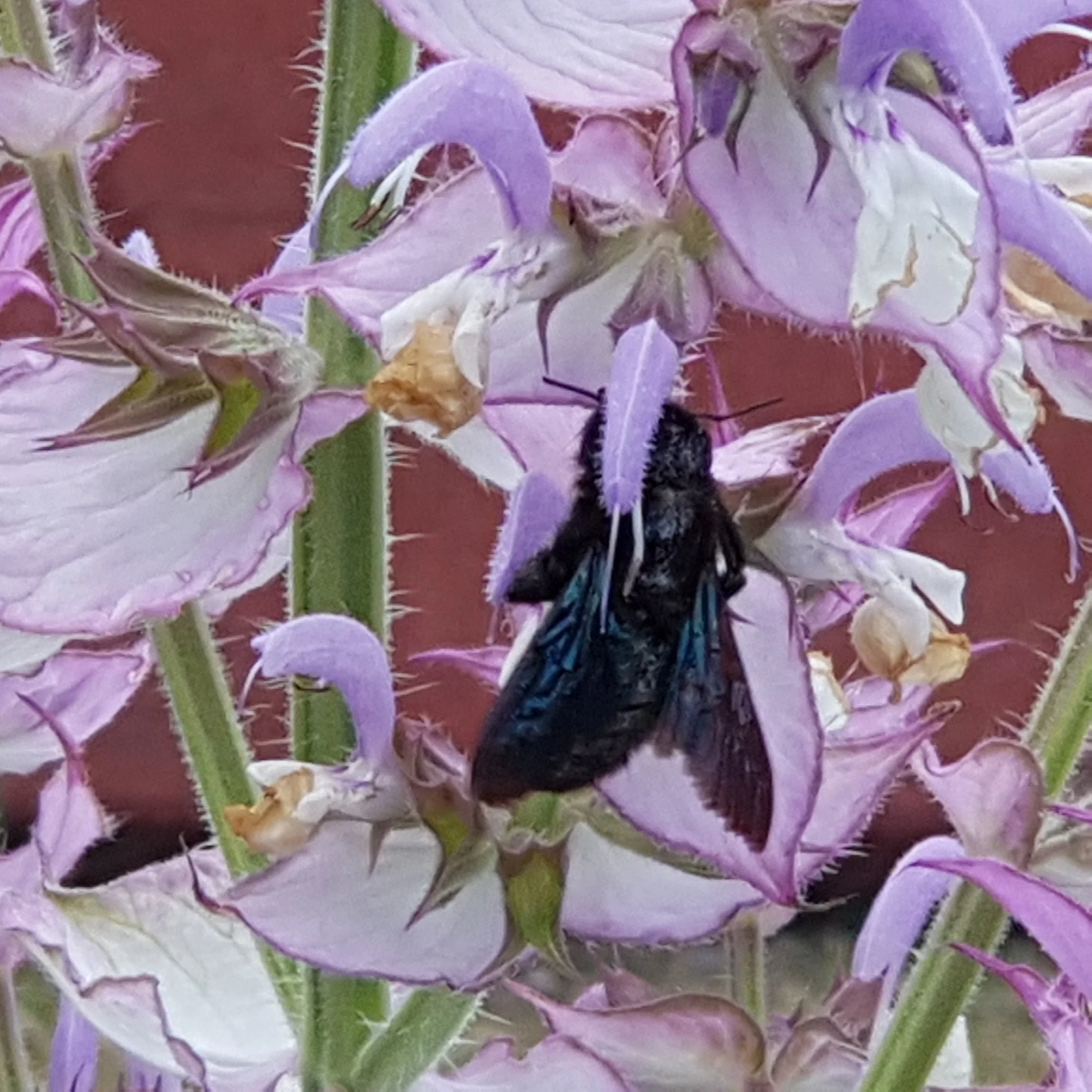 20190621_134610.jpg