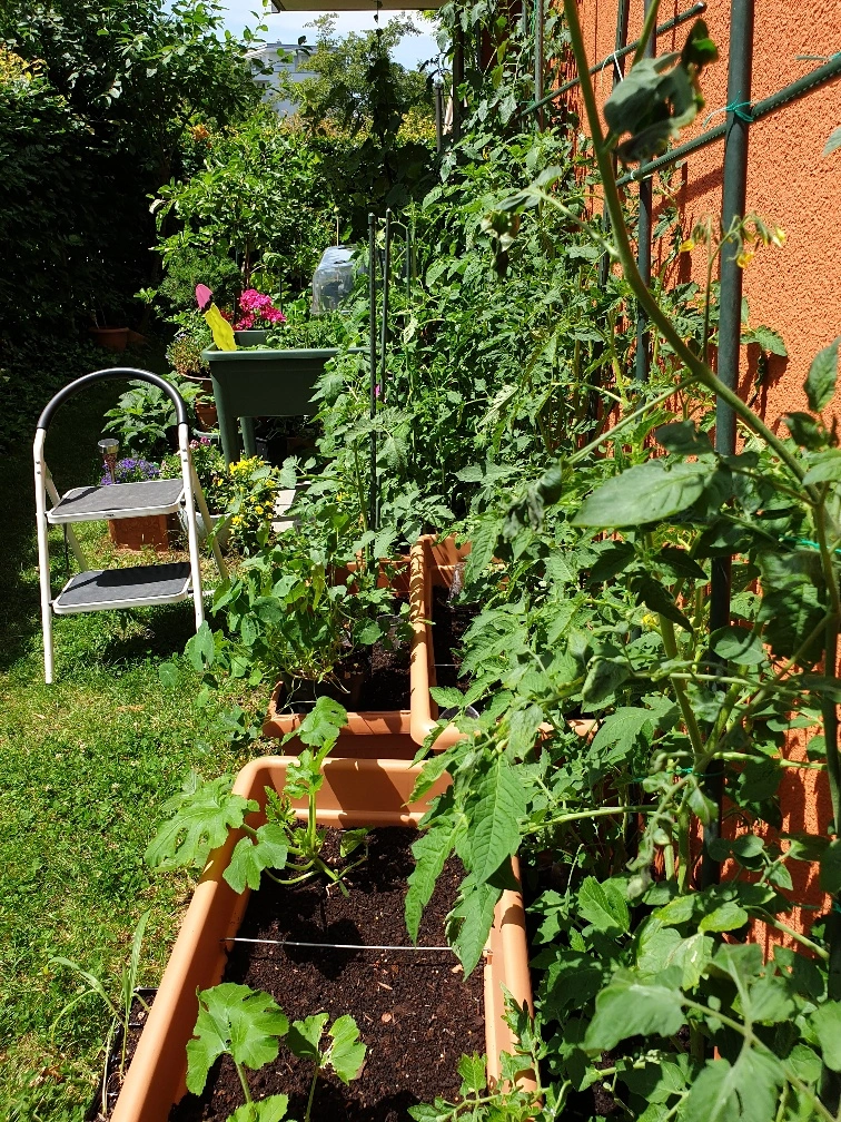 20190625_135614_resized.webp