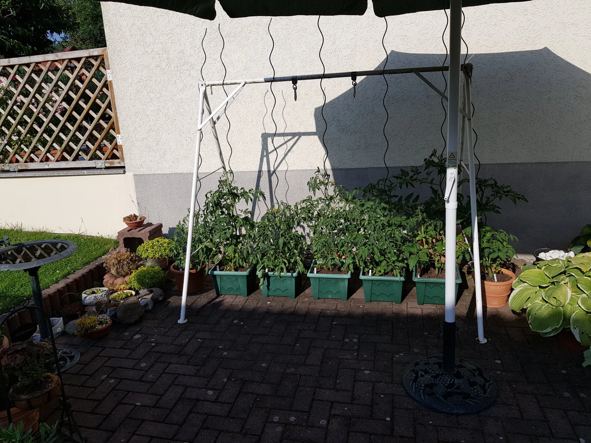 20190626_181628.webp