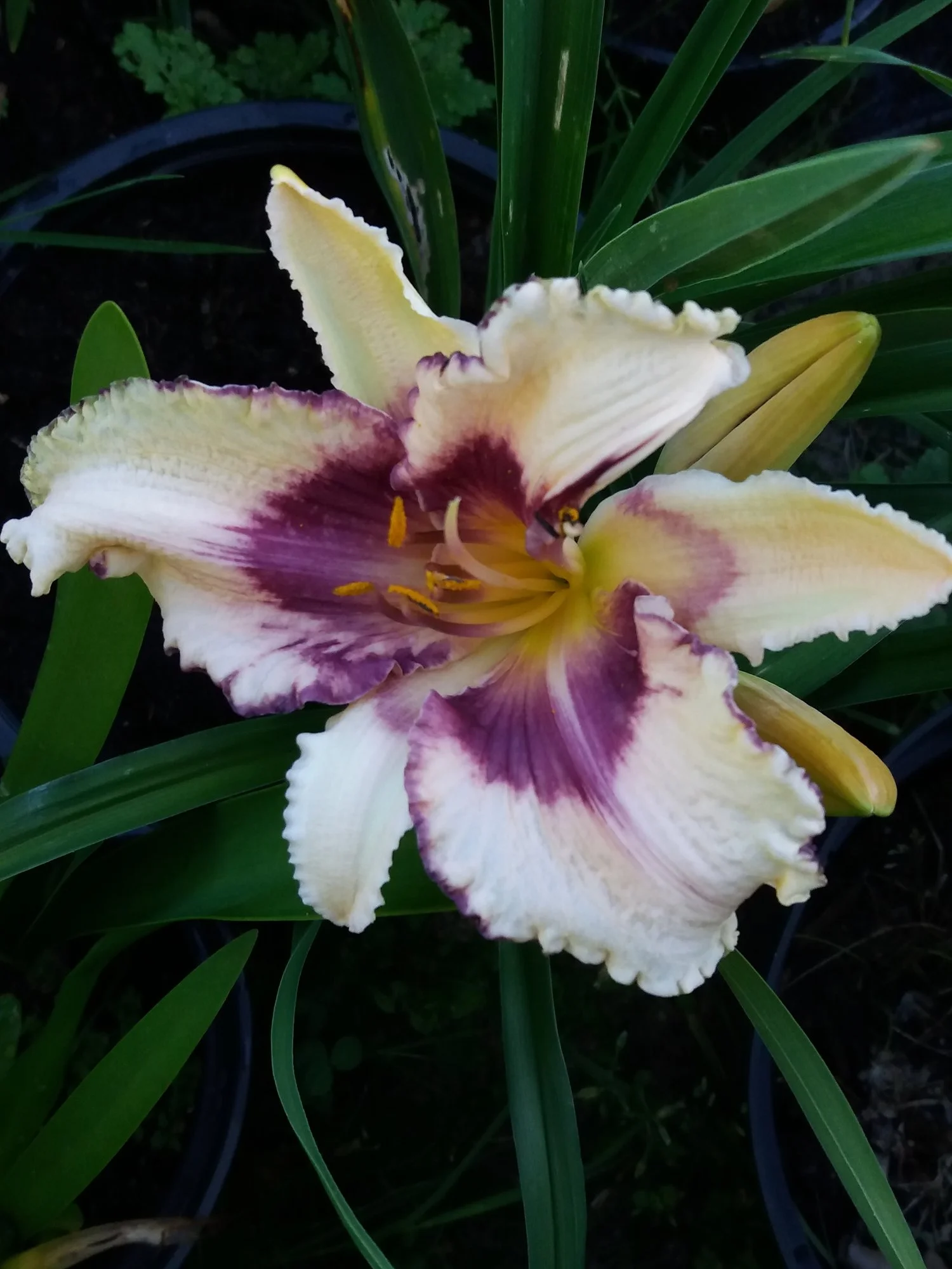 20190628_202756.webp