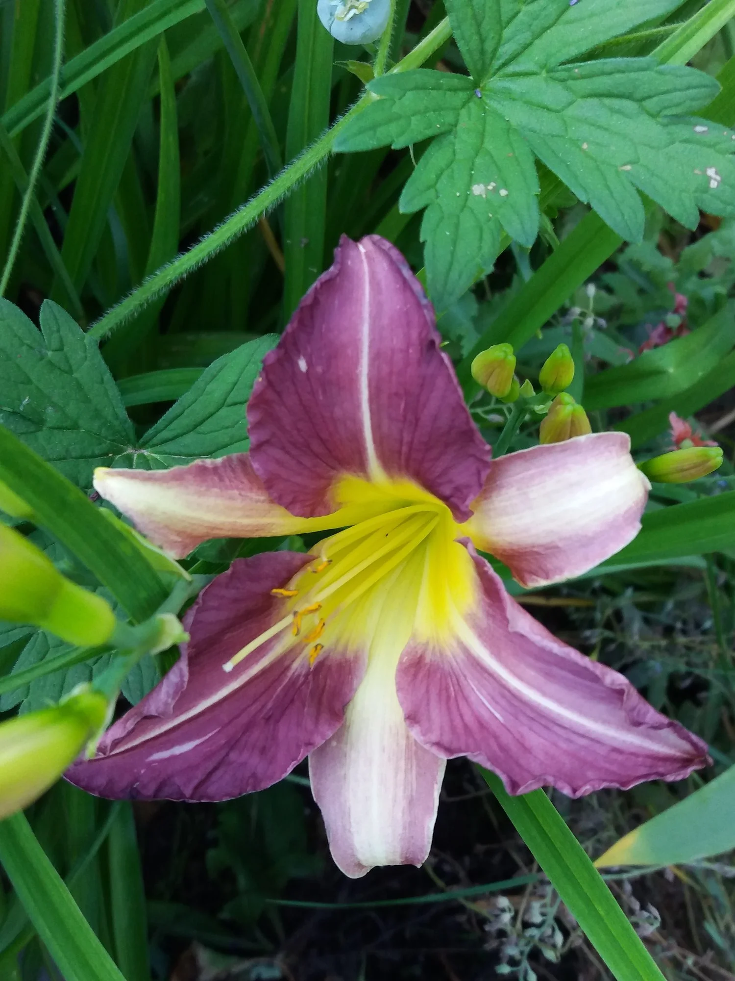 20190628_202835.webp