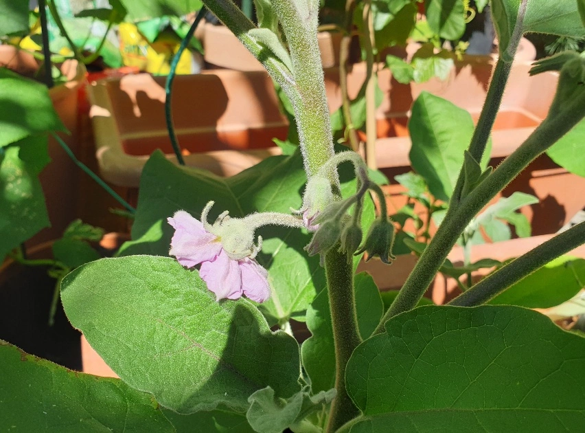 20190629_170243_resized.webp