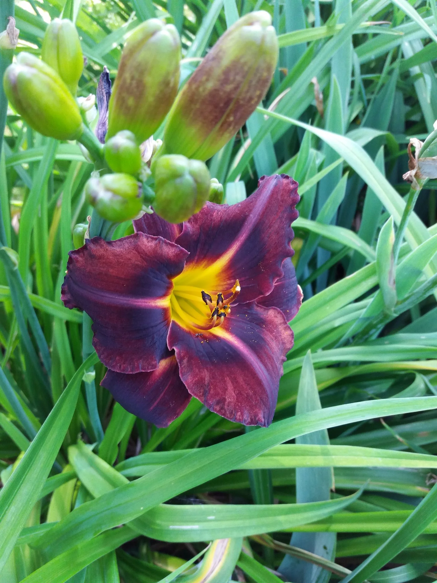 20190630_110016.webp