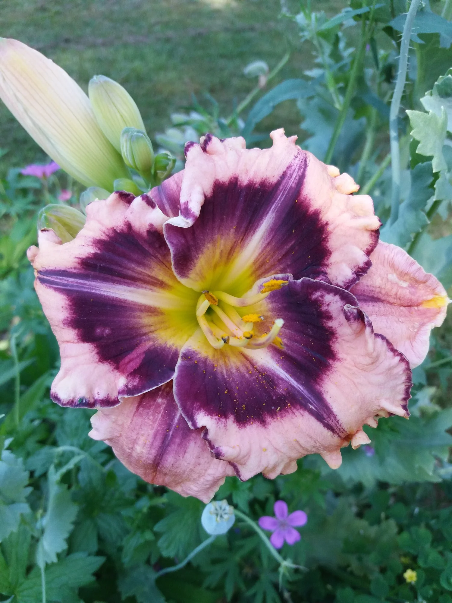20190630_110211.webp