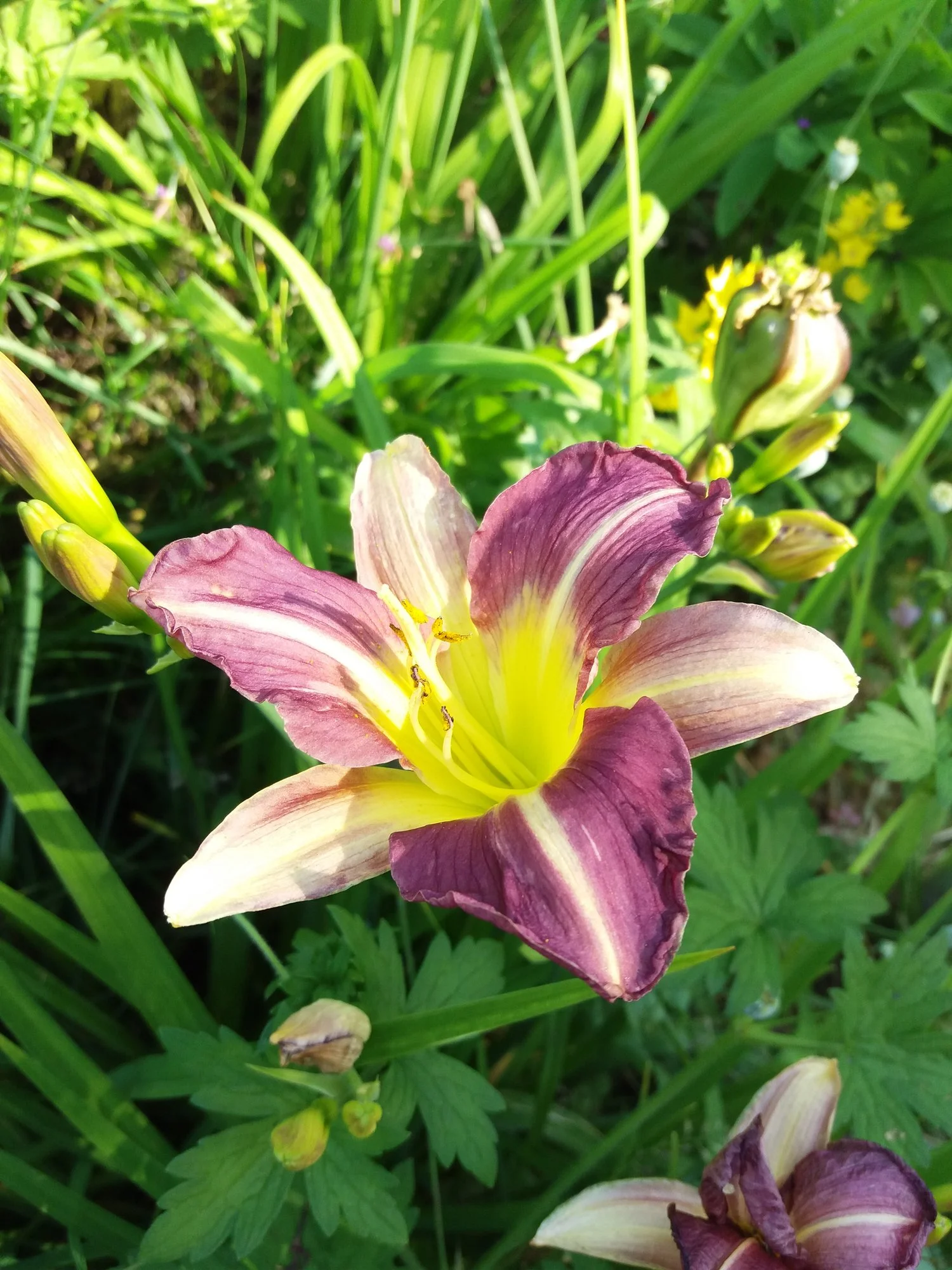 20190630_110233.webp
