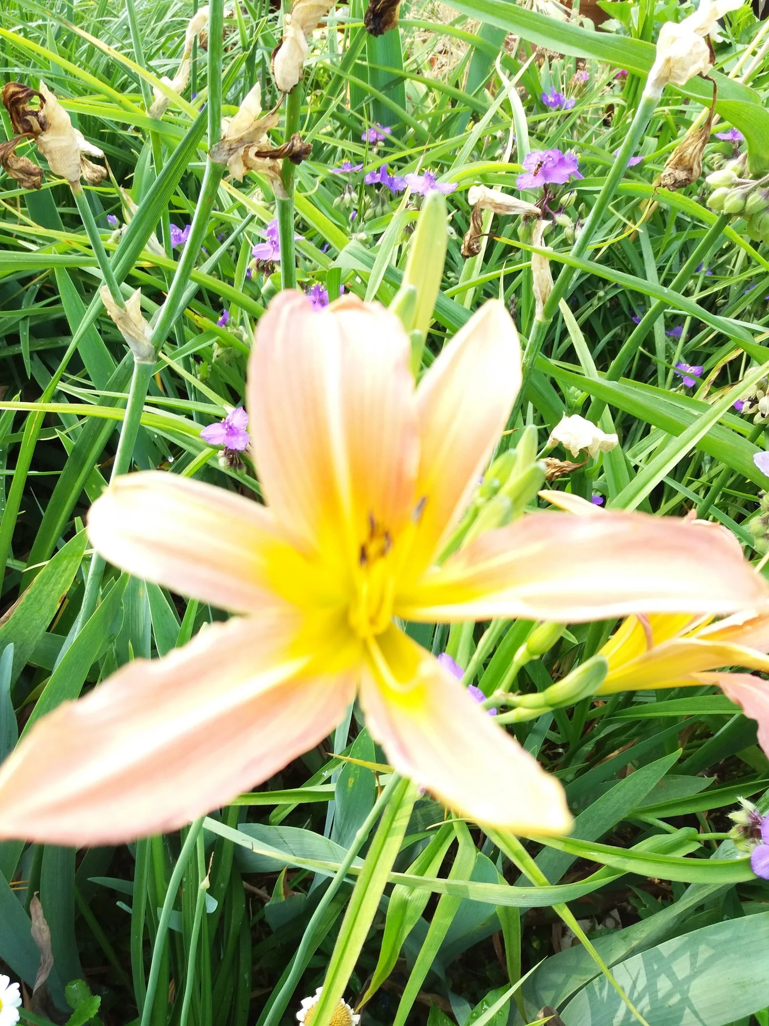 20190701_105124.webp