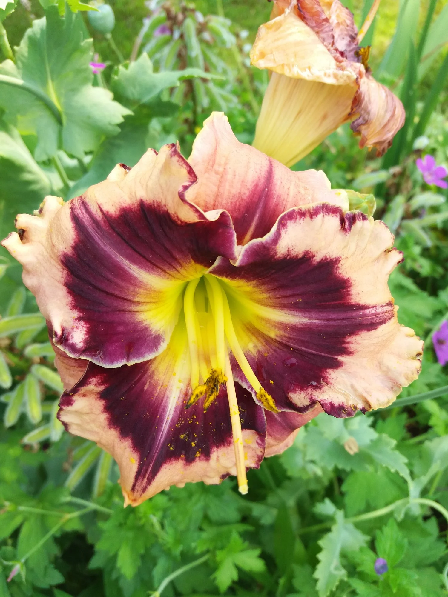 20190701_105154.webp