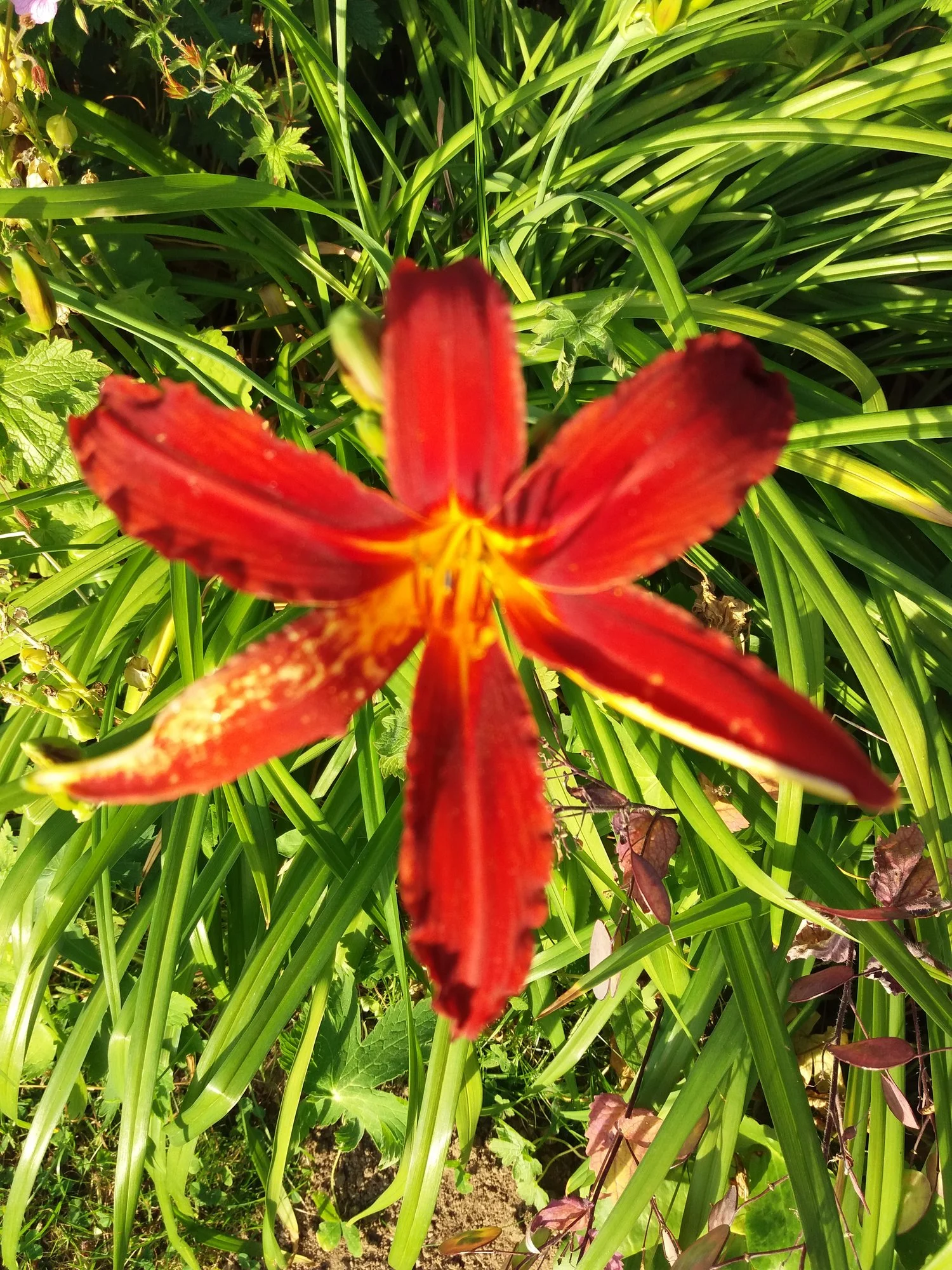 20190704_200724.webp