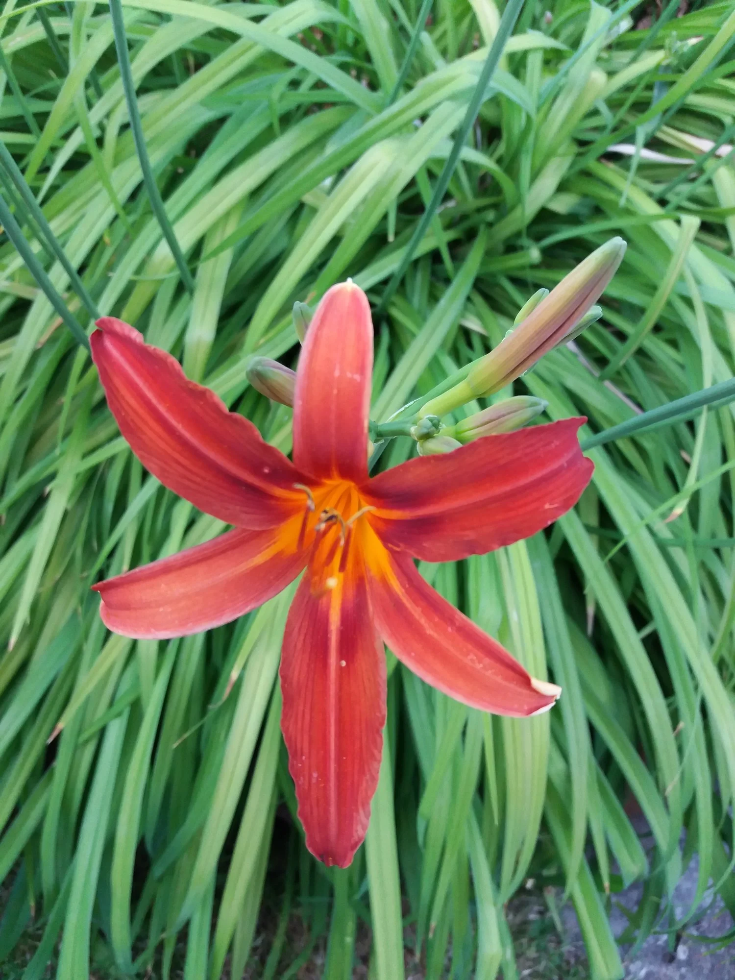 20190704_200825.webp