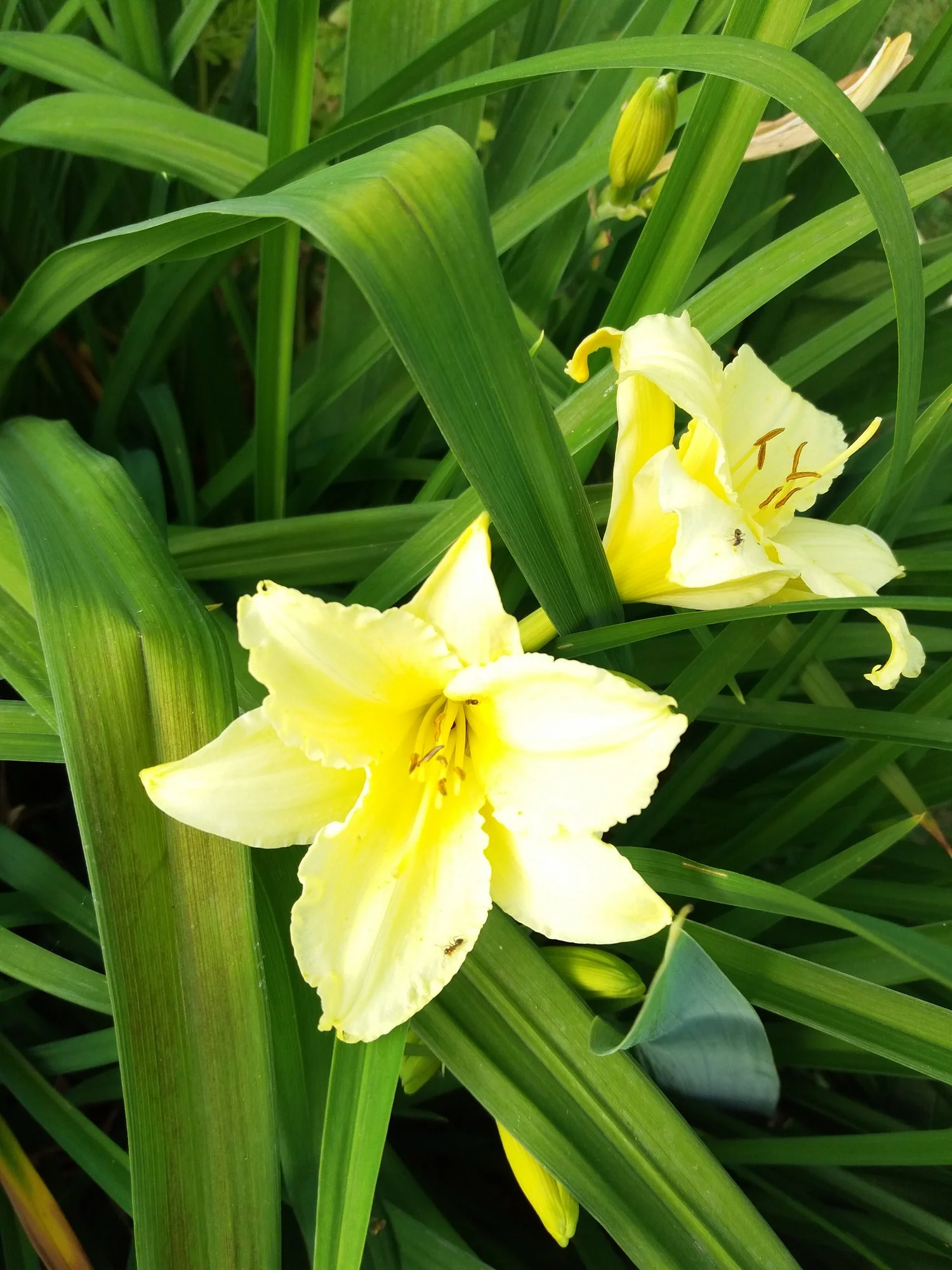 20190704_200852.webp