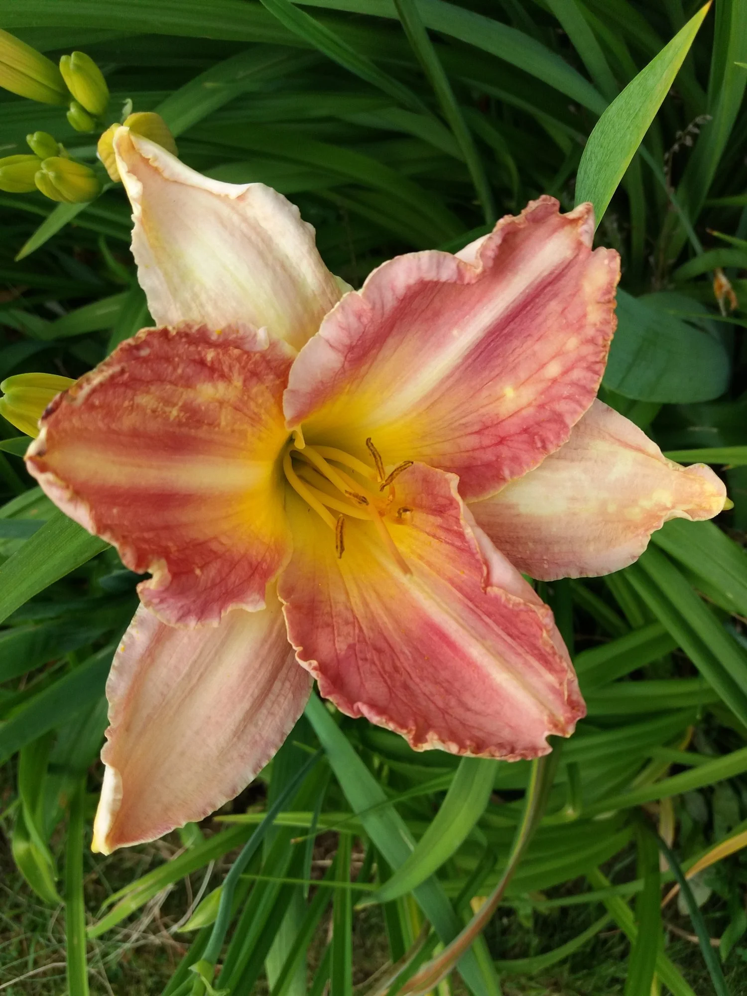 20190704_200906.webp