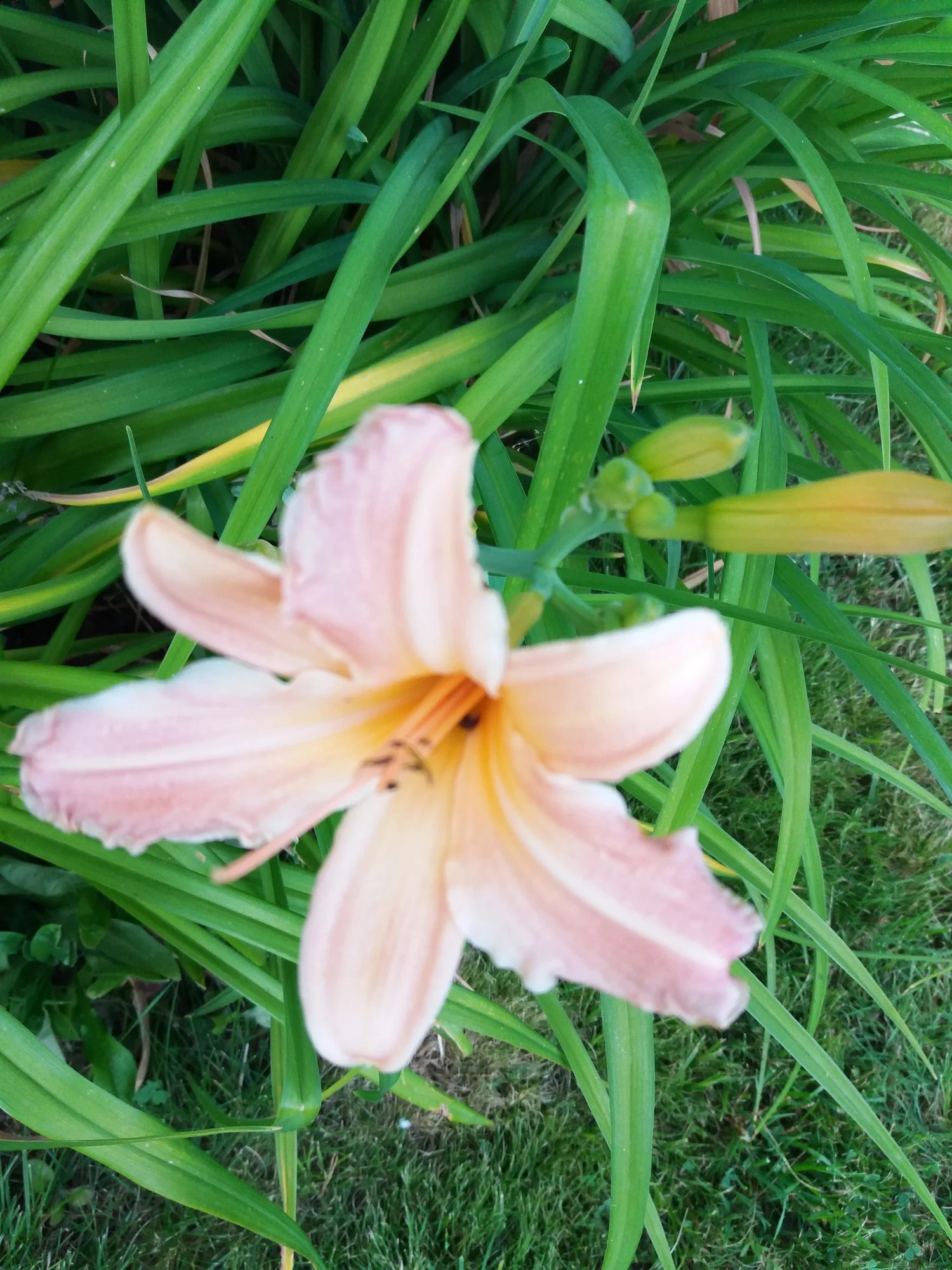 20190704_200913.webp