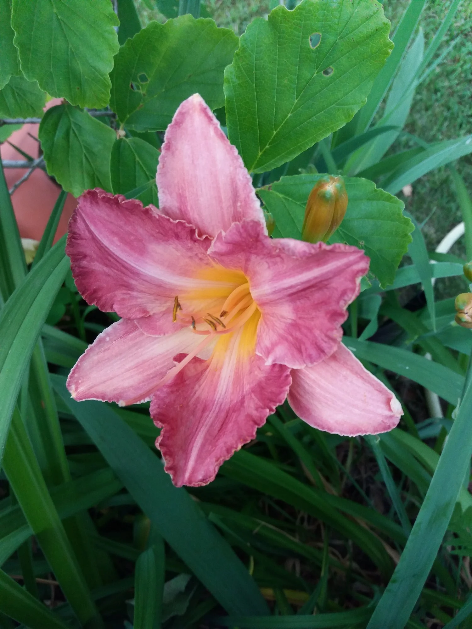 20190704_200929.webp