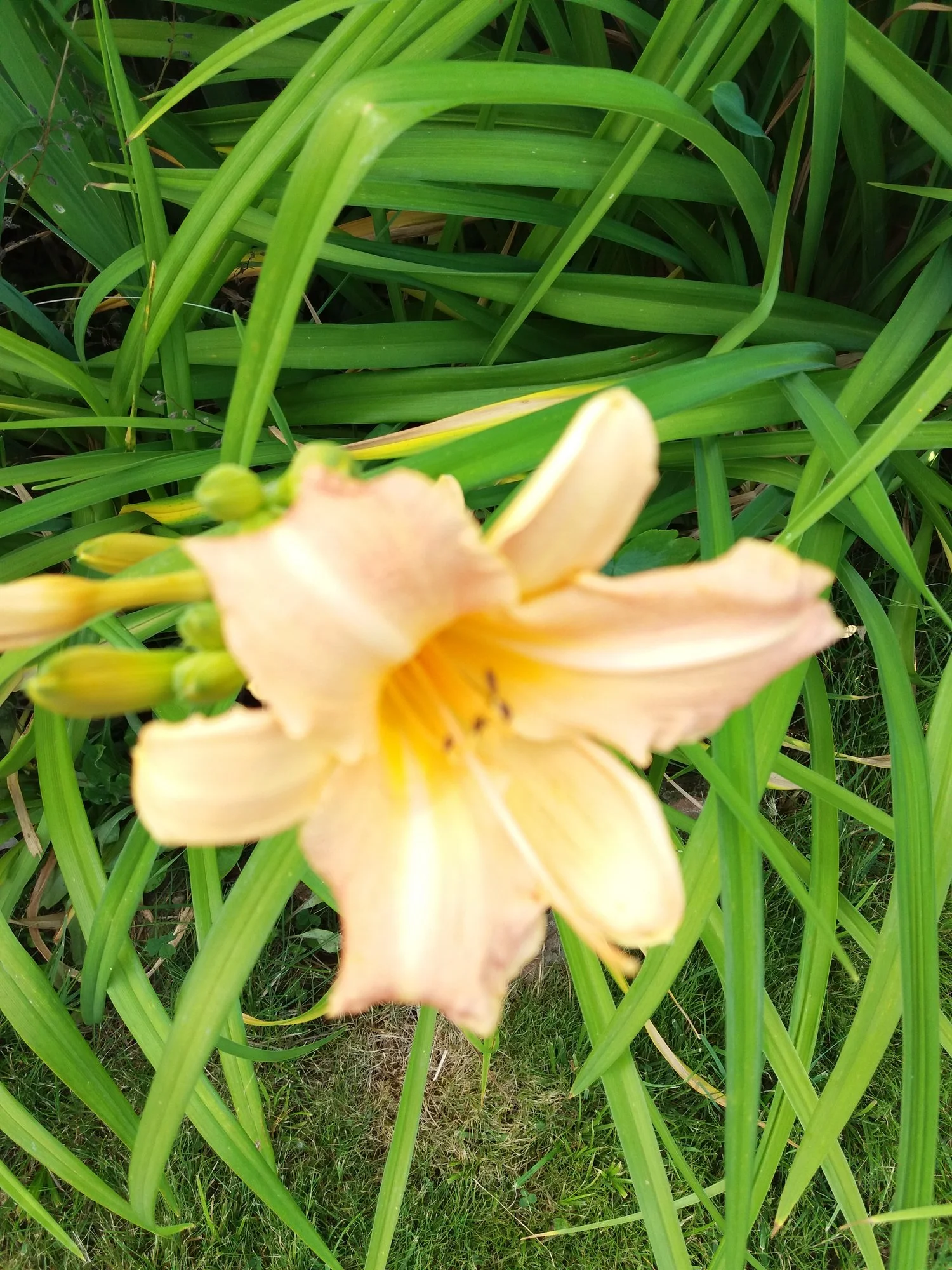 20190706_111621.webp