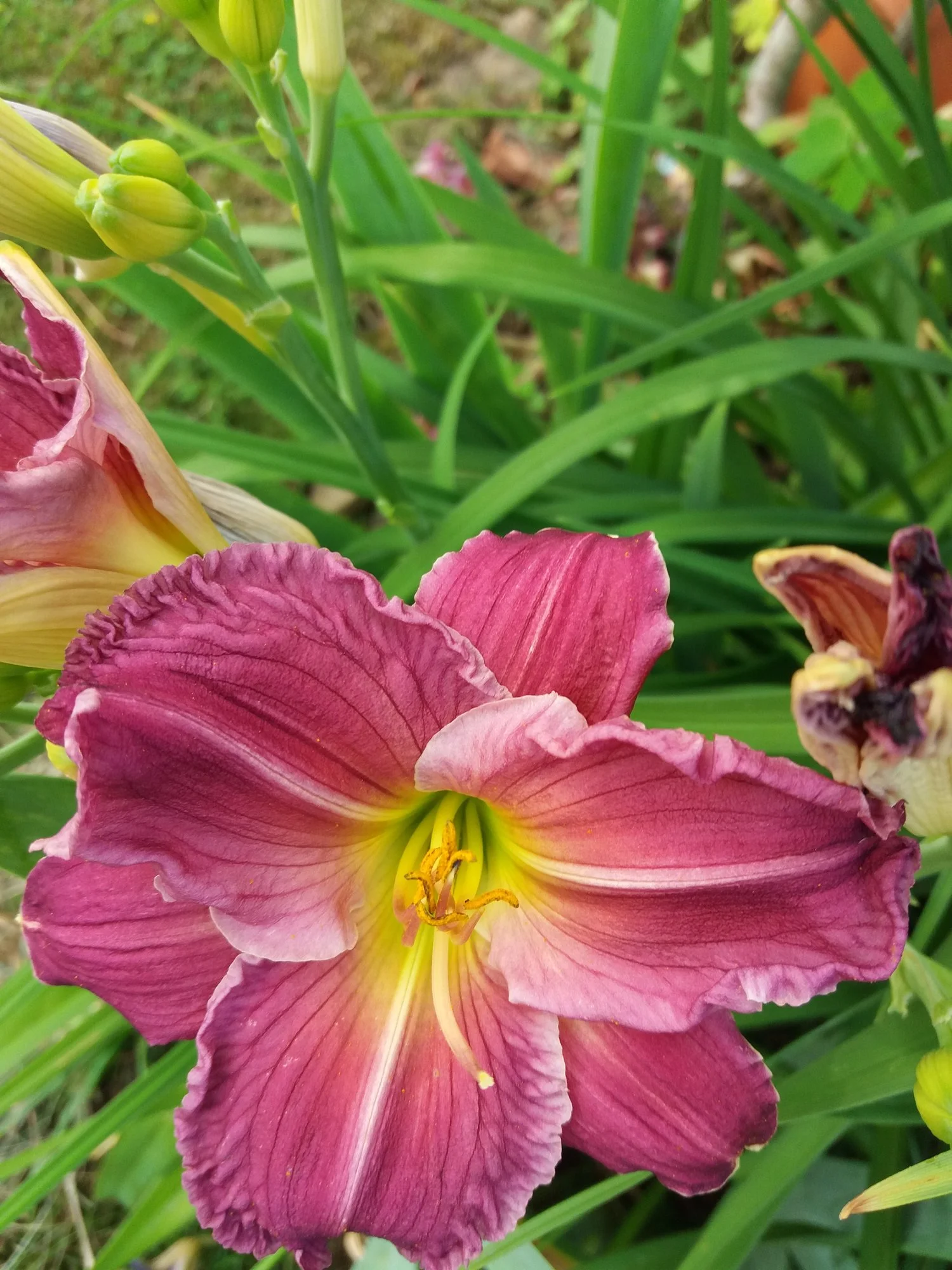 20190706_111639.webp