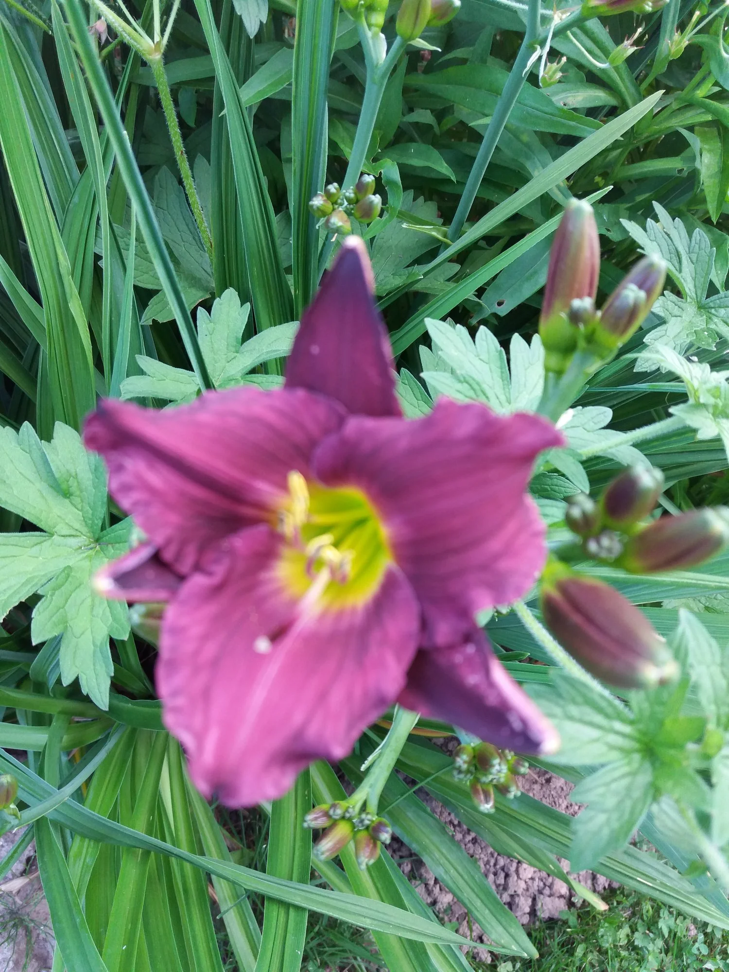 20190706_111653.webp