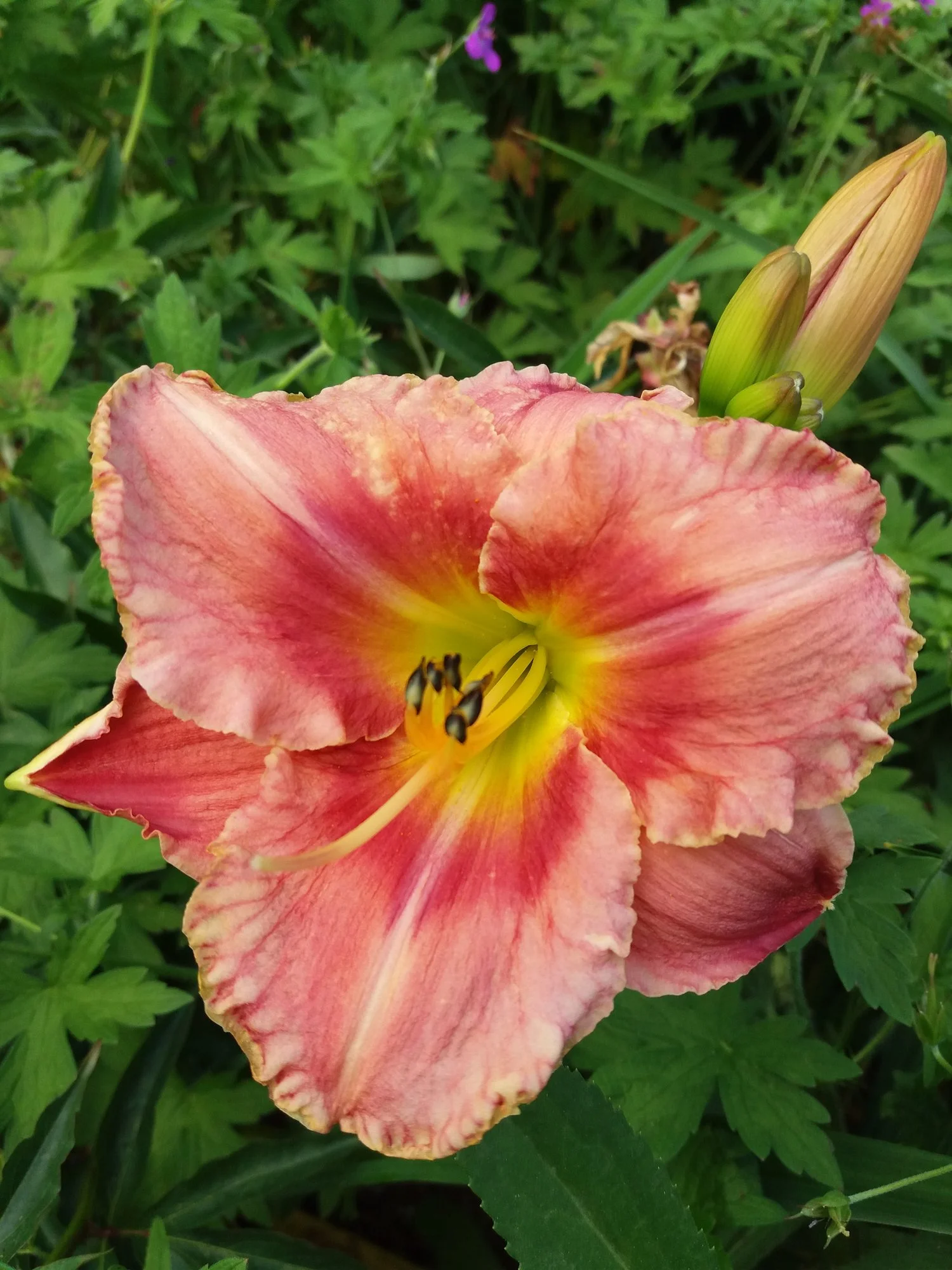 20190706_111706.webp