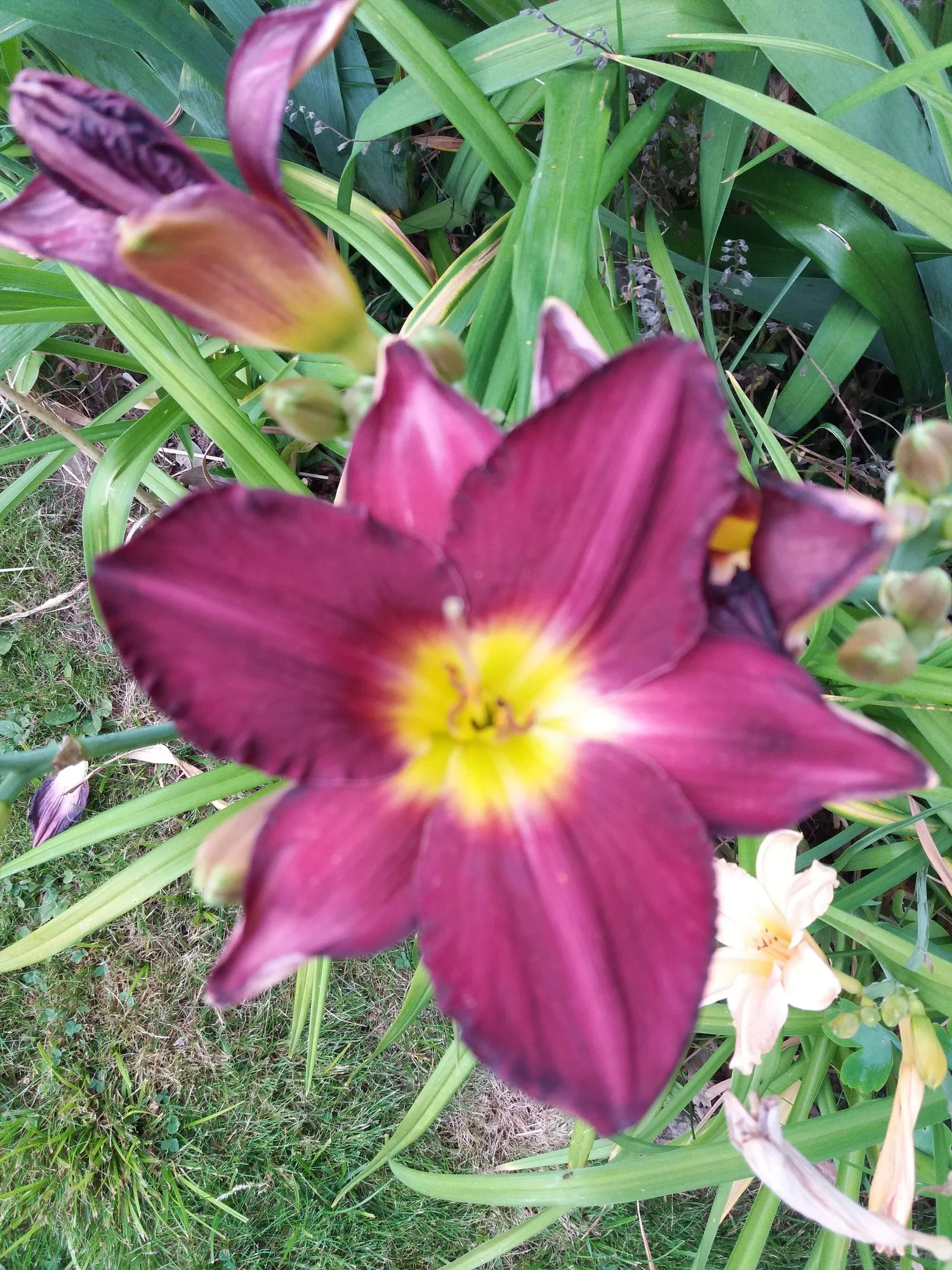 20190708_193608.webp