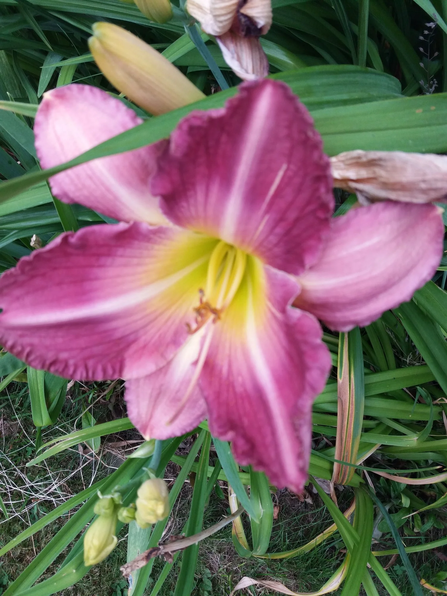 20190708_193615.webp