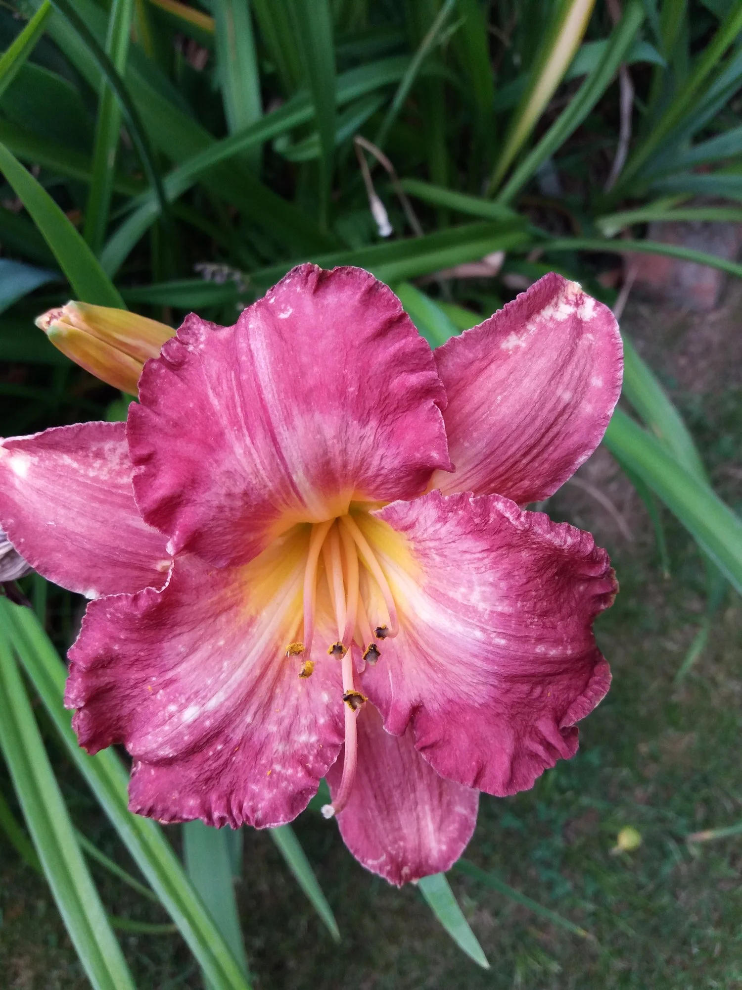 20190708_193637.webp
