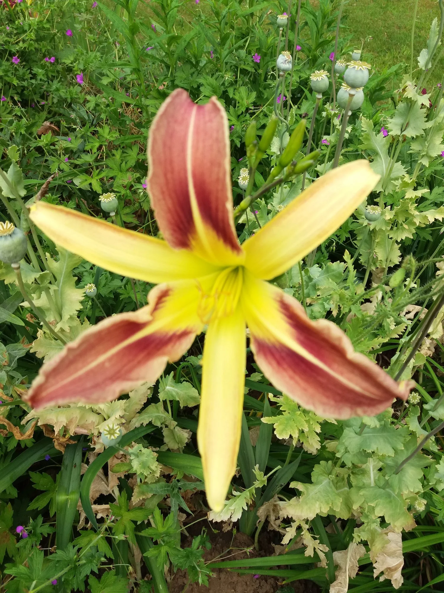20190708_193653.webp