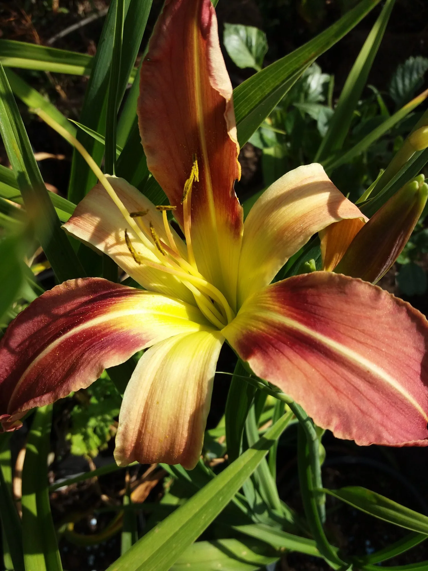 20190710_172623.webp