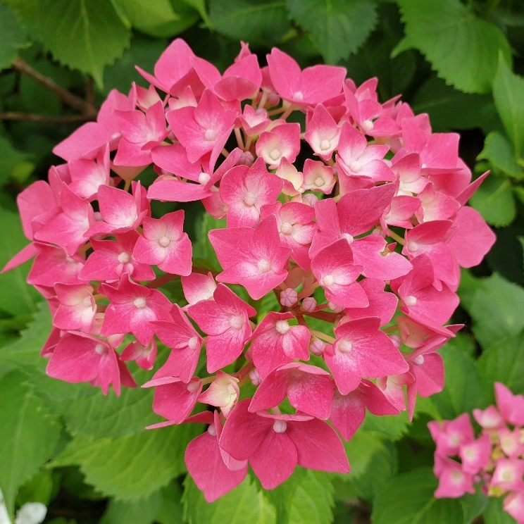 20190711_130813_resized(1).webp