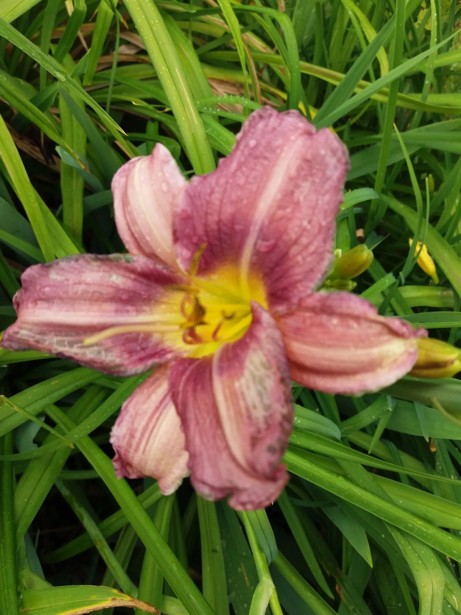 20190712_141612.webp