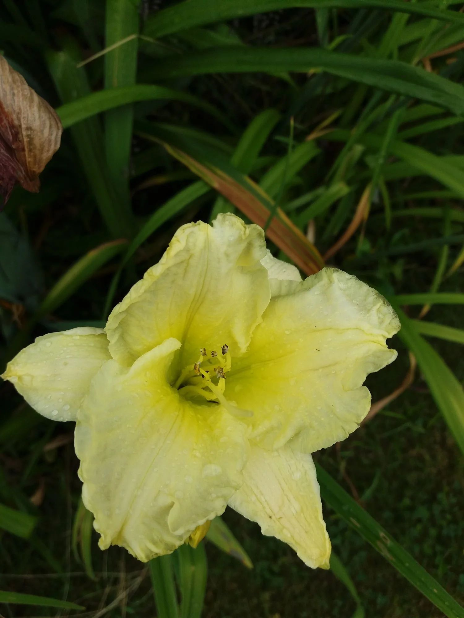 20190712_141635.webp