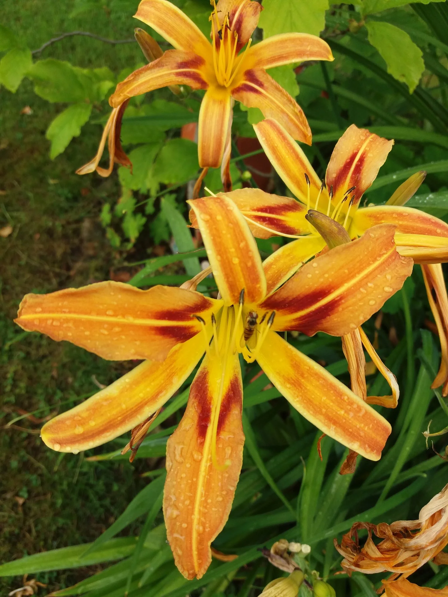 20190712_141644.webp