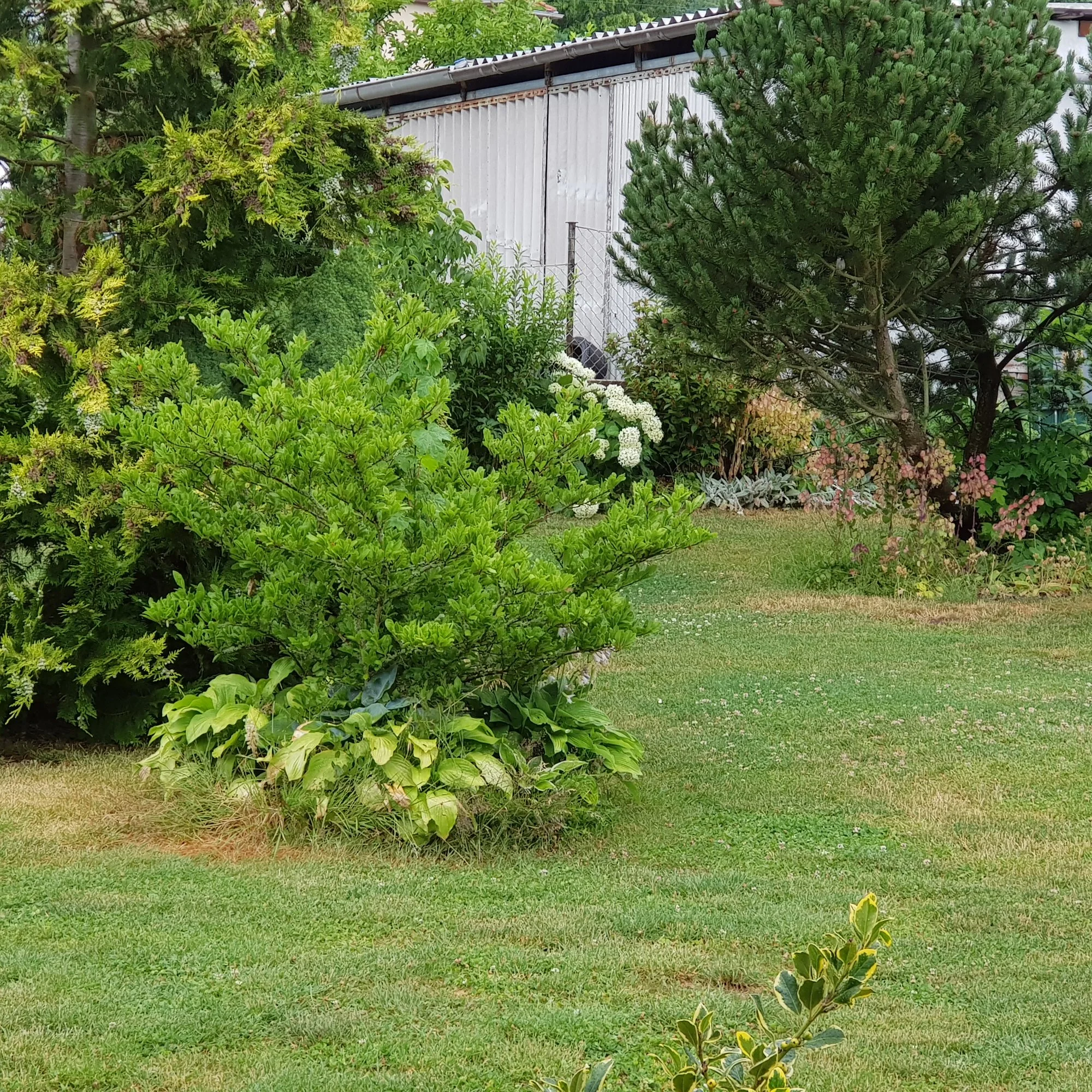 20190712_171406.webp