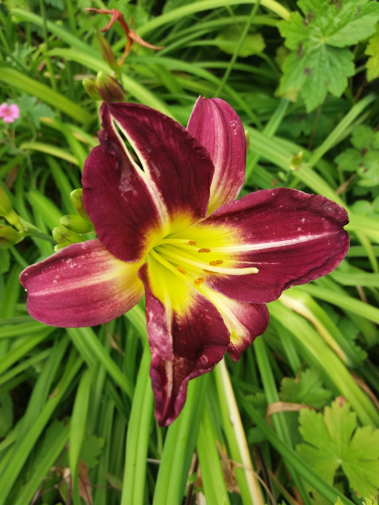 20190715_160258.webp