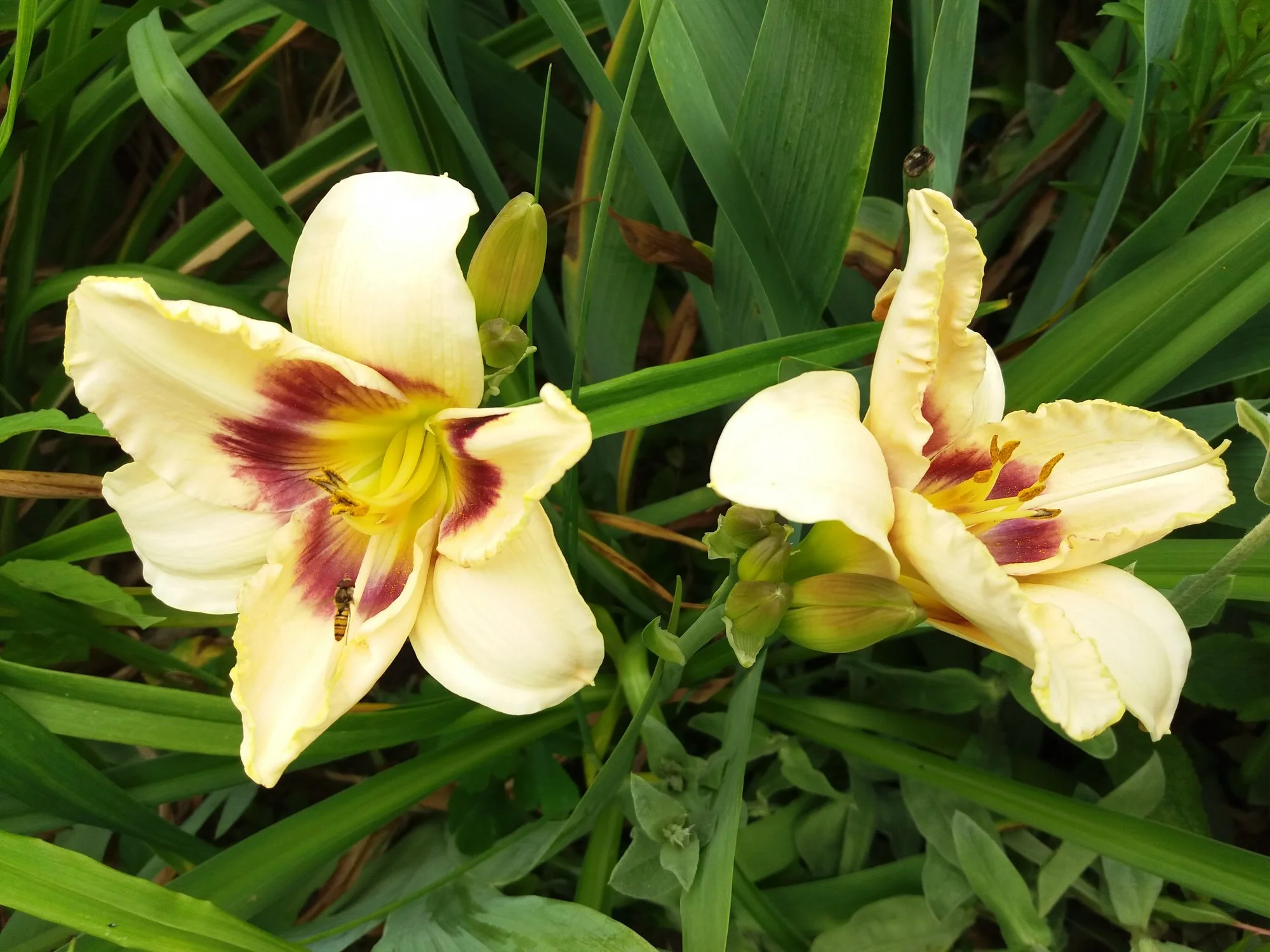 20190715_160400.webp