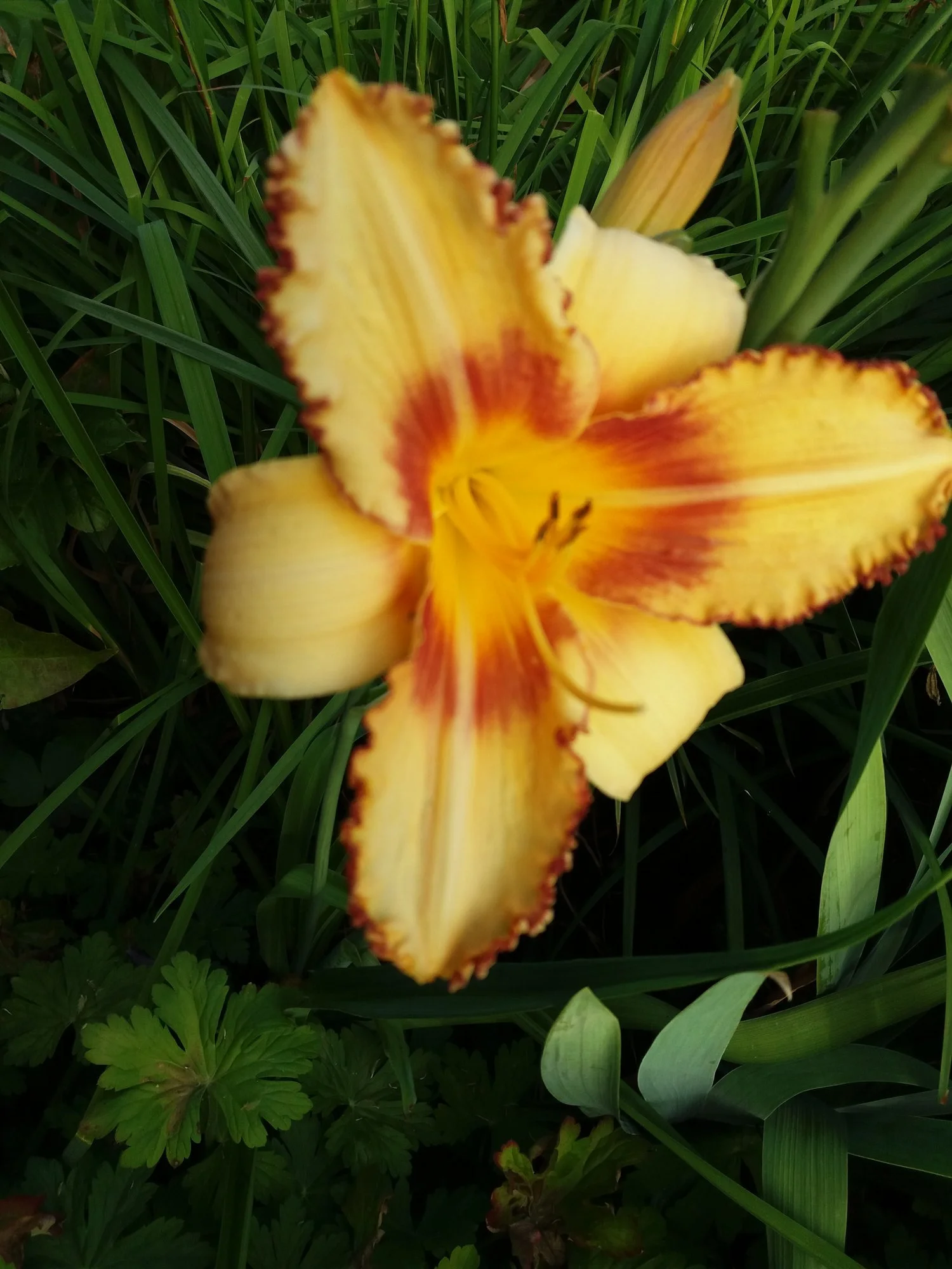 20190716_190701.webp