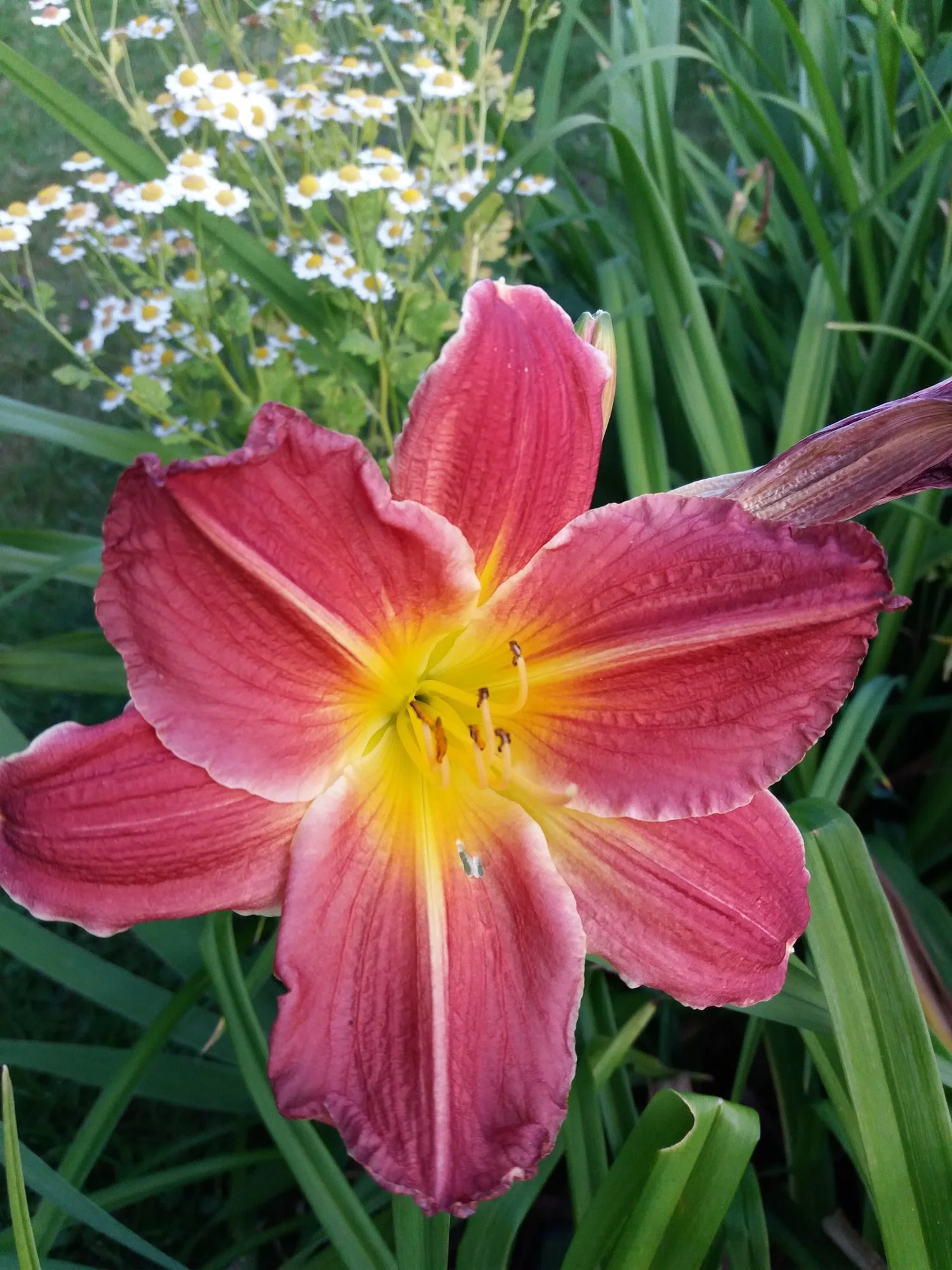 20190717_203913.webp