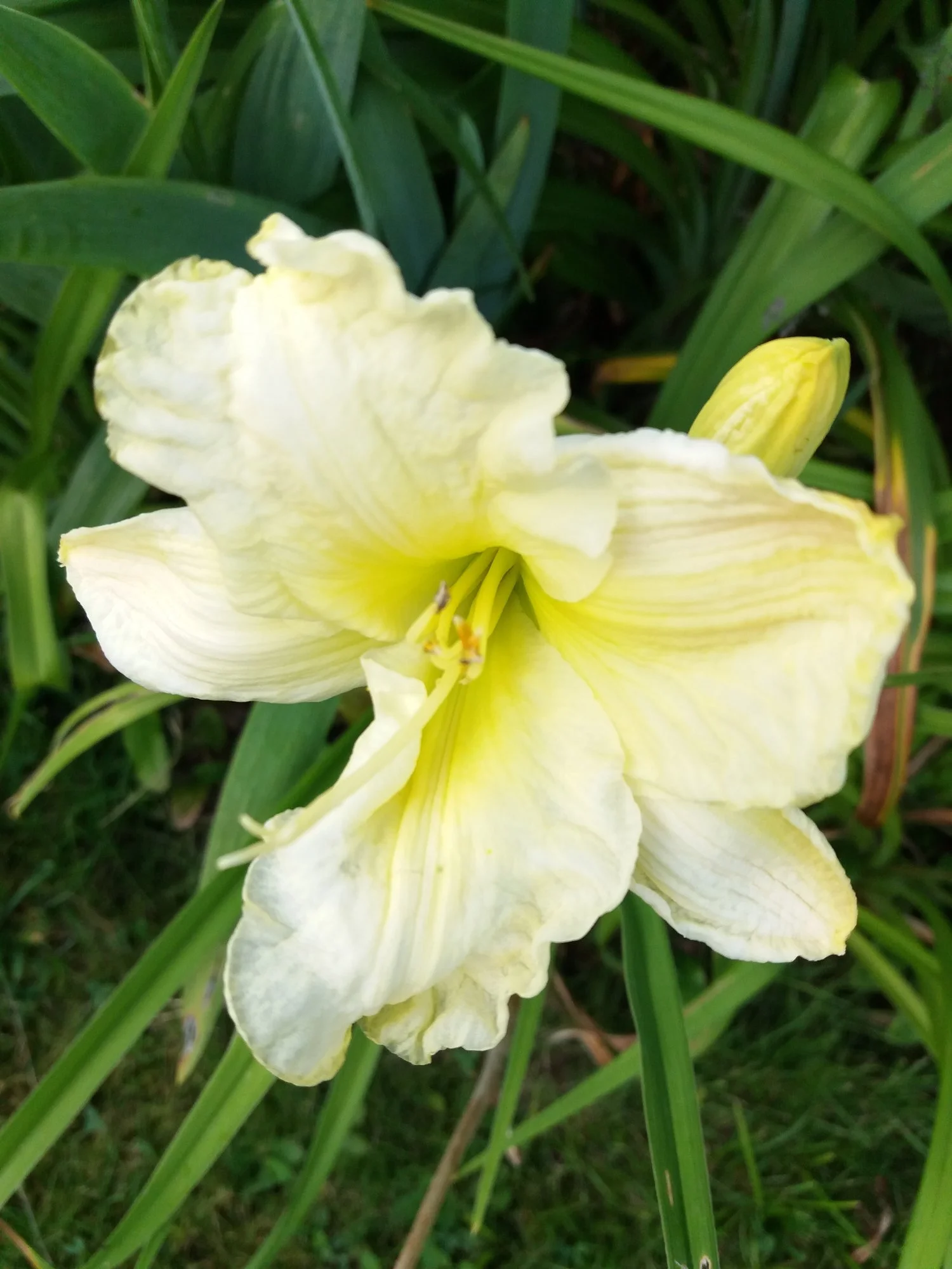 20190717_203958.webp