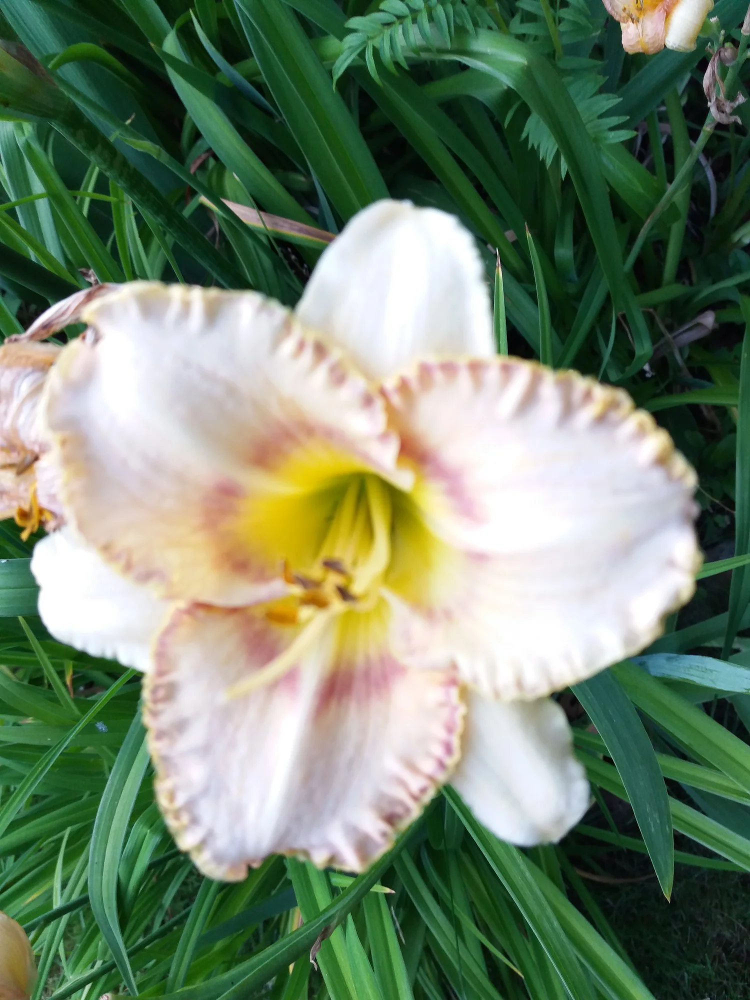 20190717_204100.webp