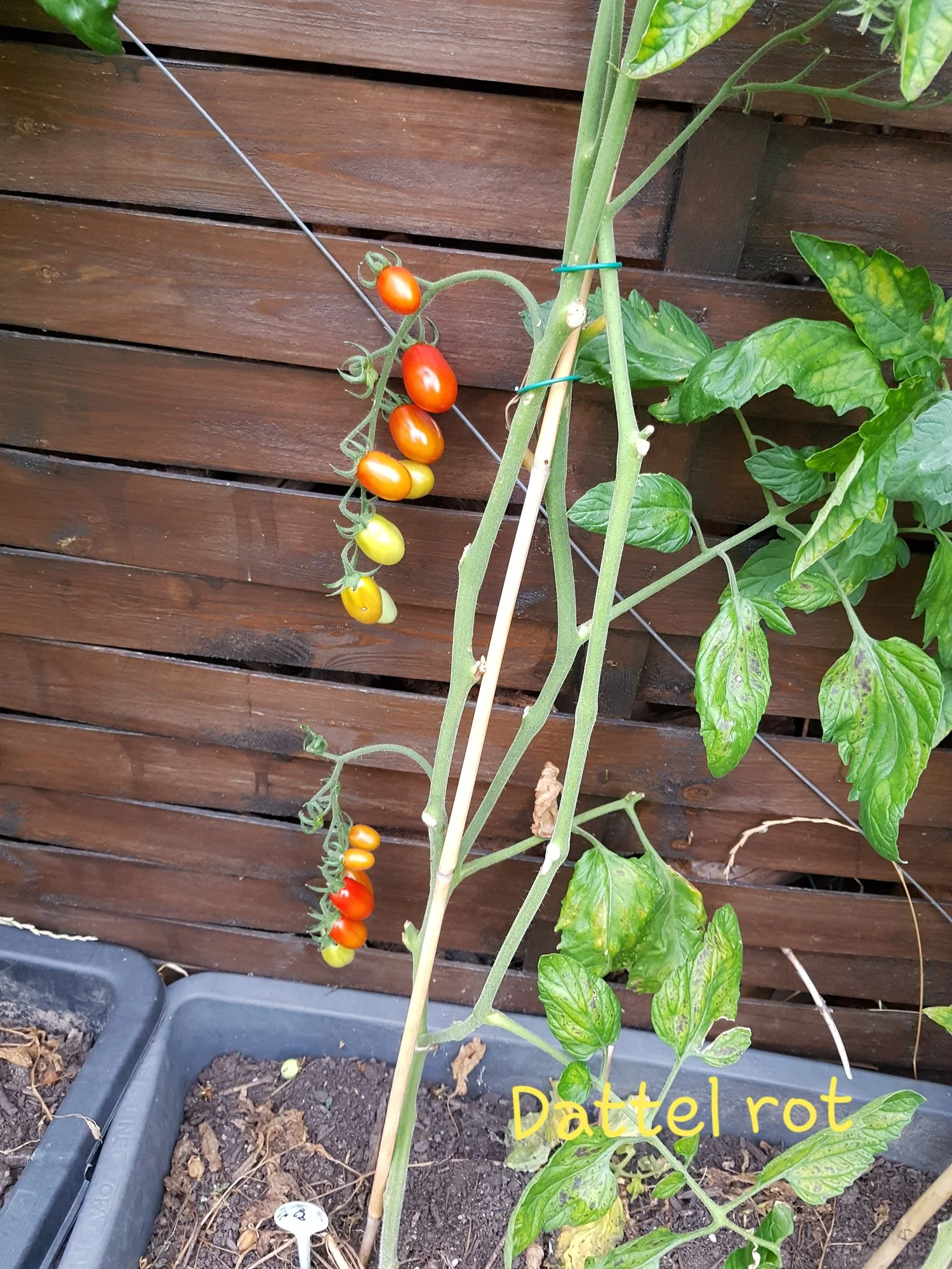 20190721_191756.webp
