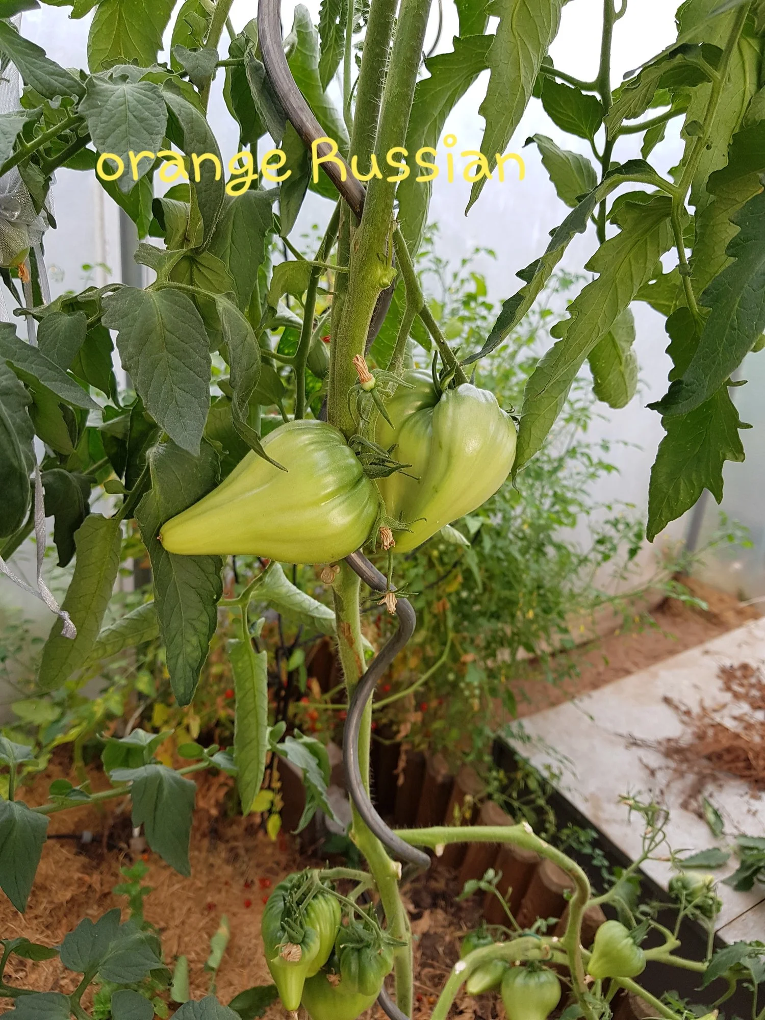 20190721_193251.webp