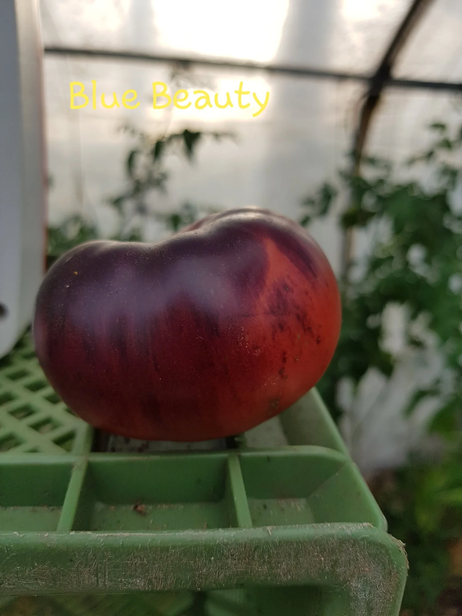 20190721_193336.webp